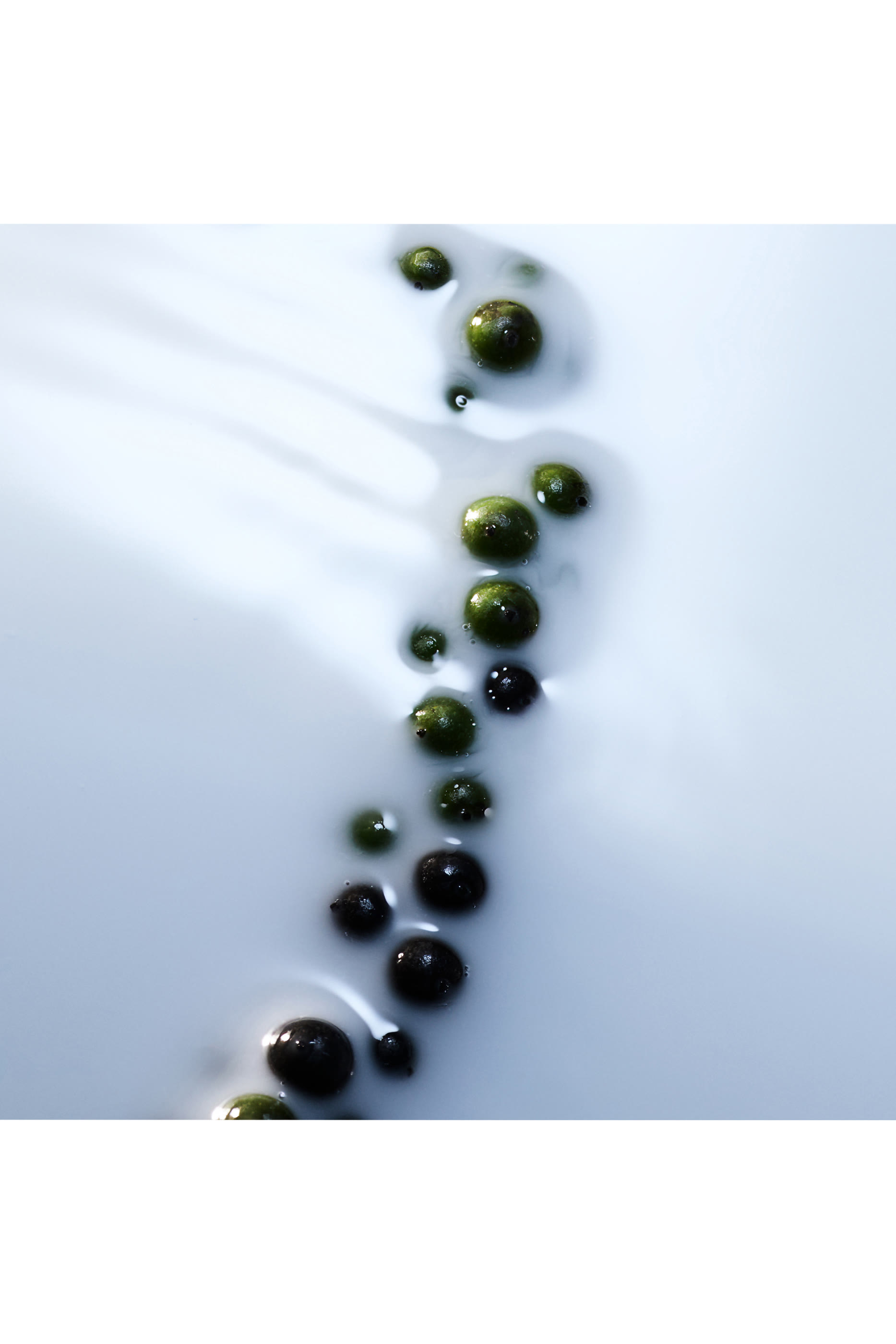 أو دو بارفان بلانش ابسولو