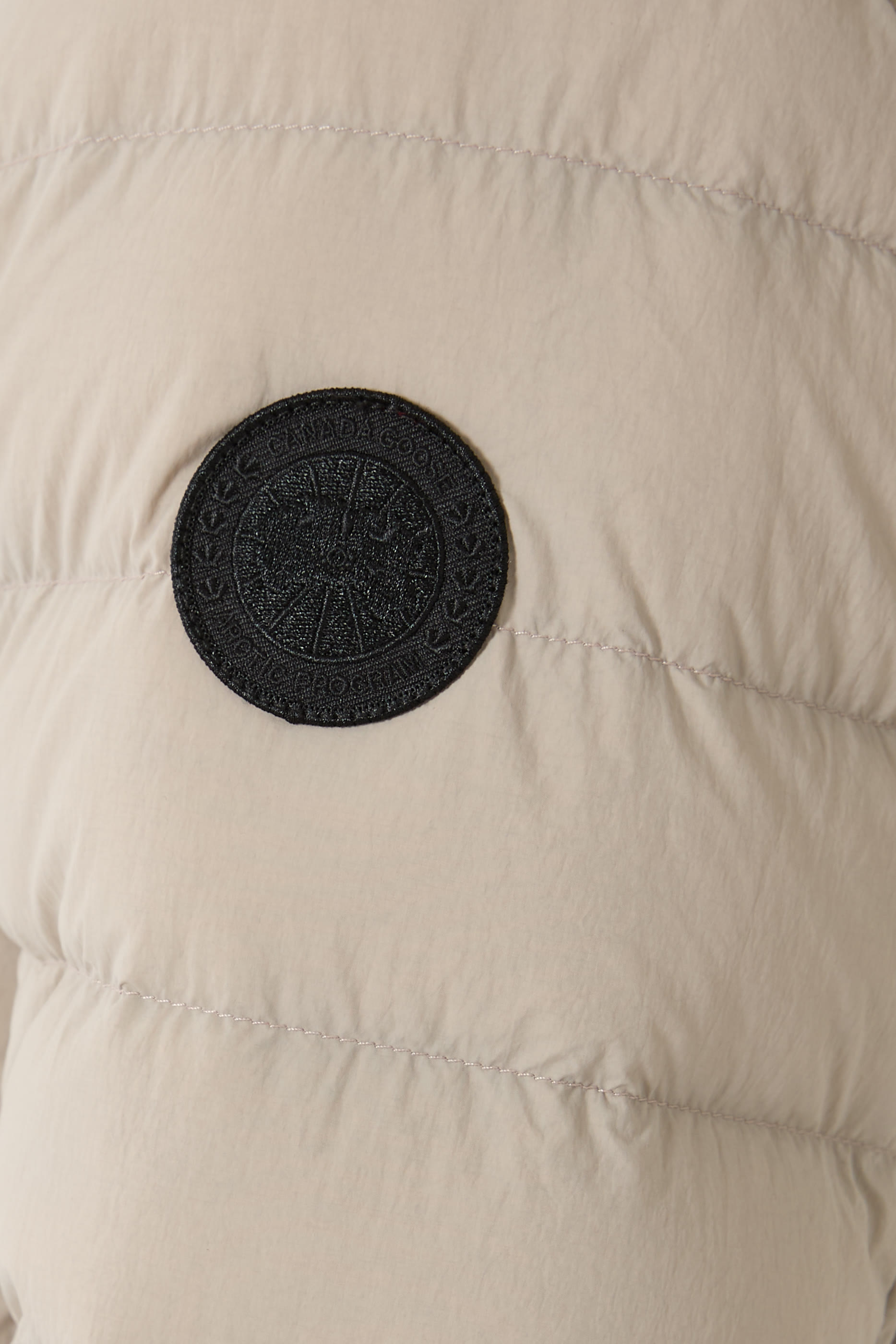 هودي كروفتون