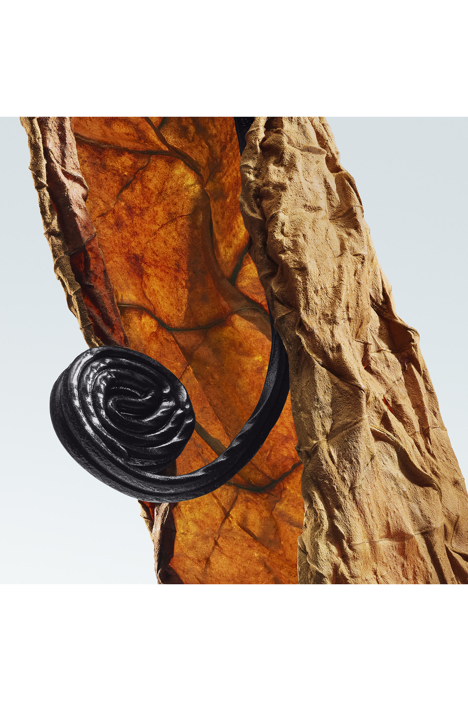 أو دو بارفان هافانا جولد