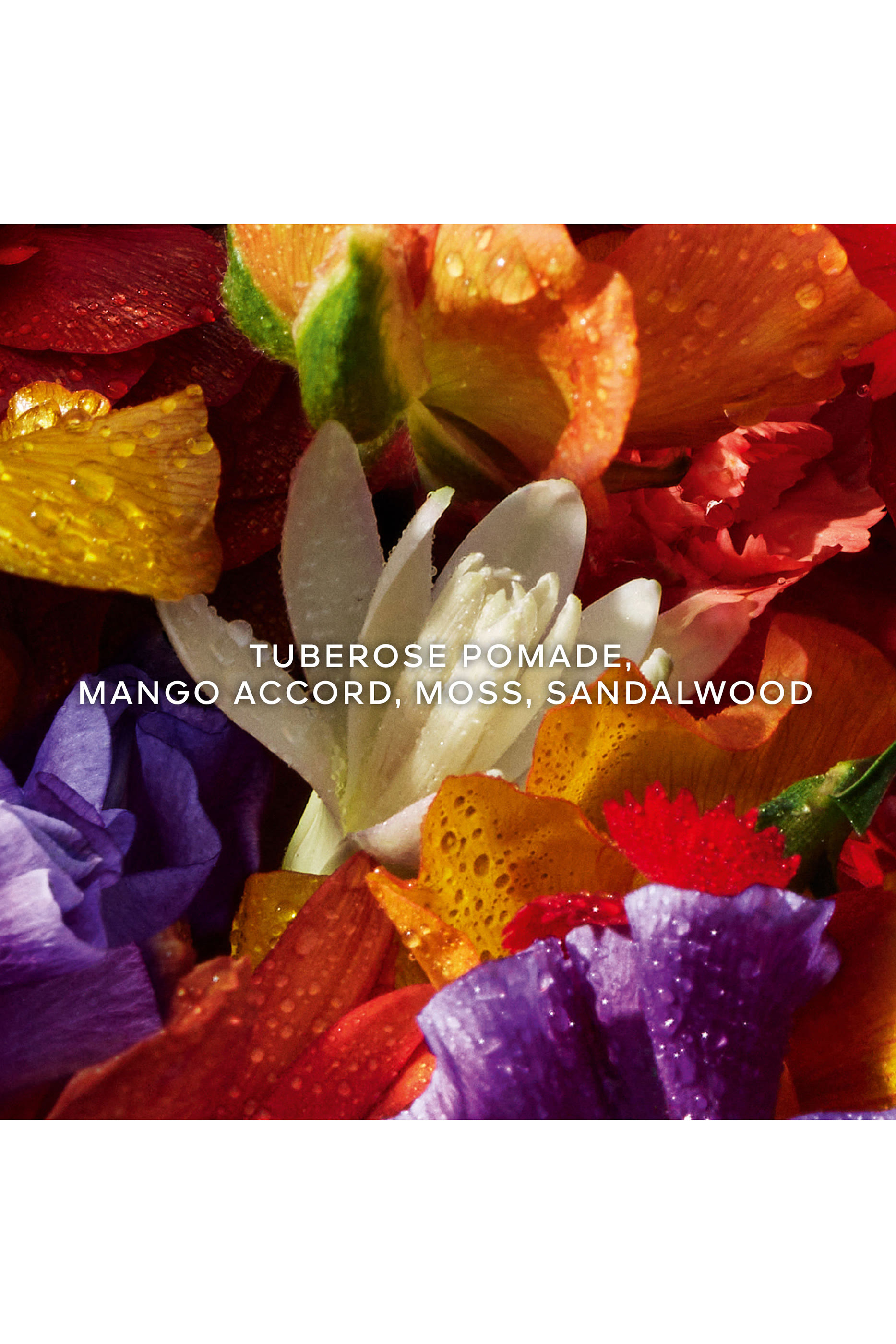 أو دو بارفان أكوا أليغوريا فلورابلوم فورت