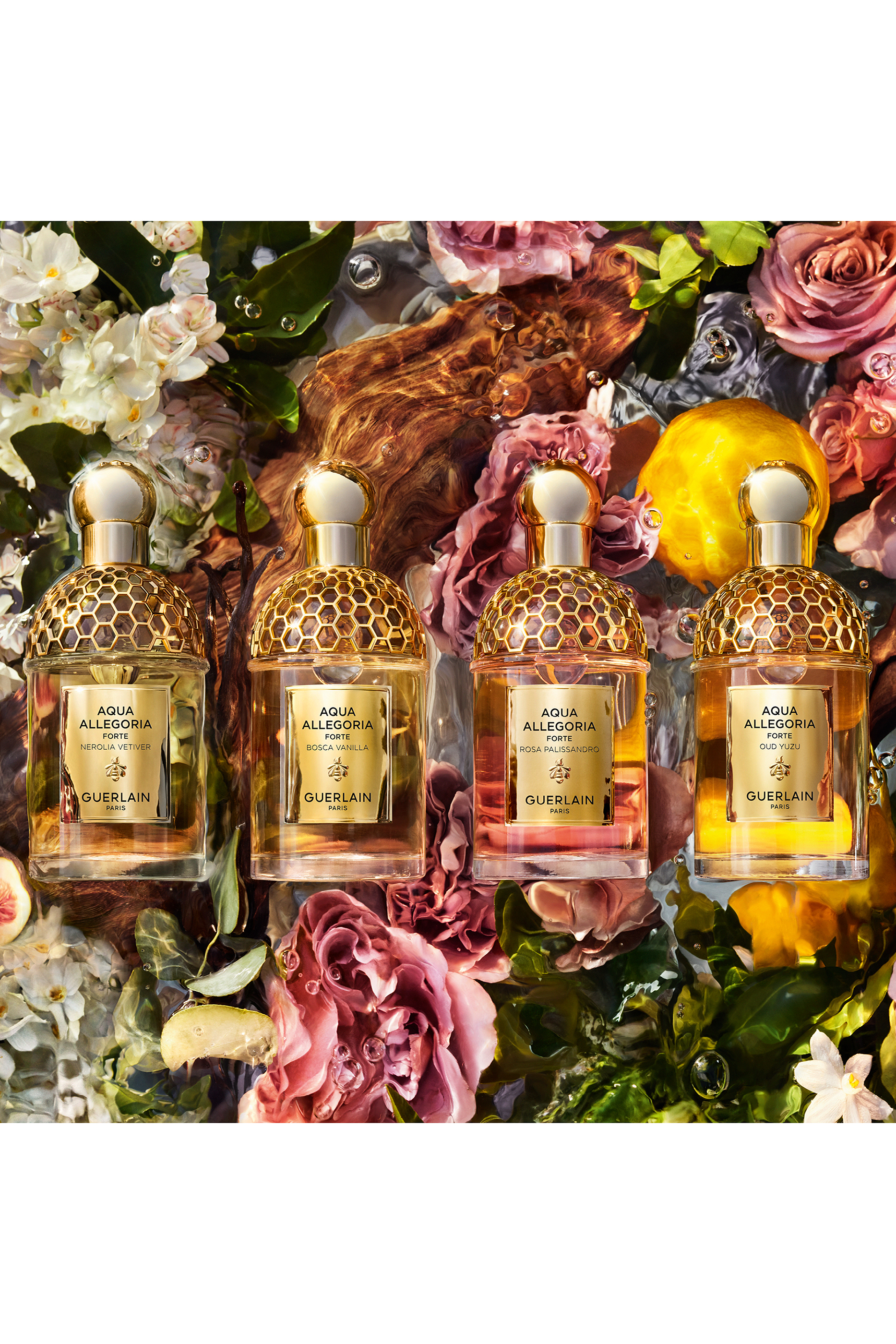 أو دو بارفان أكوا أليجوريا فورت بوسكا فانيلا