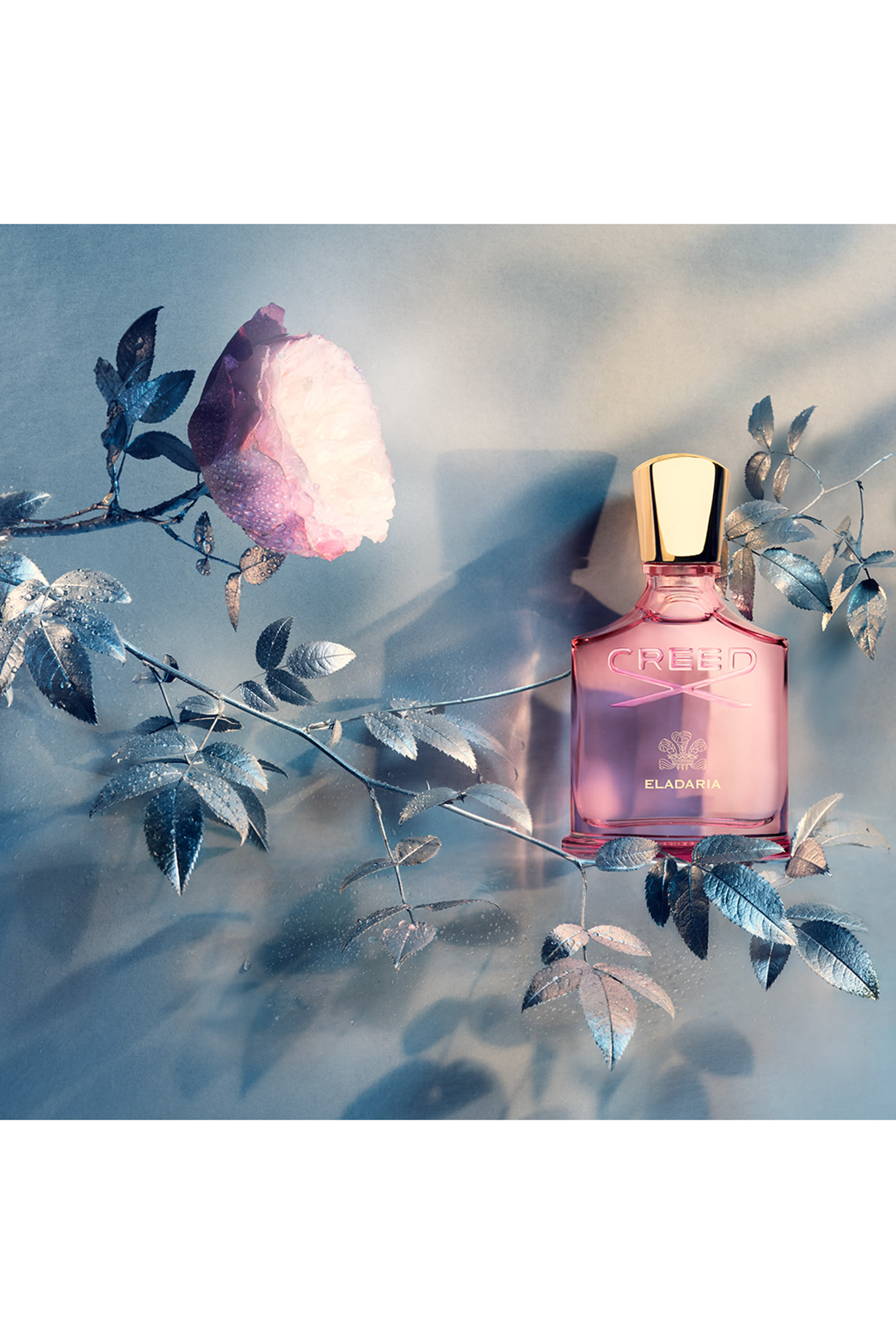 أو دو بارفان ميليزيميه إلاداريا