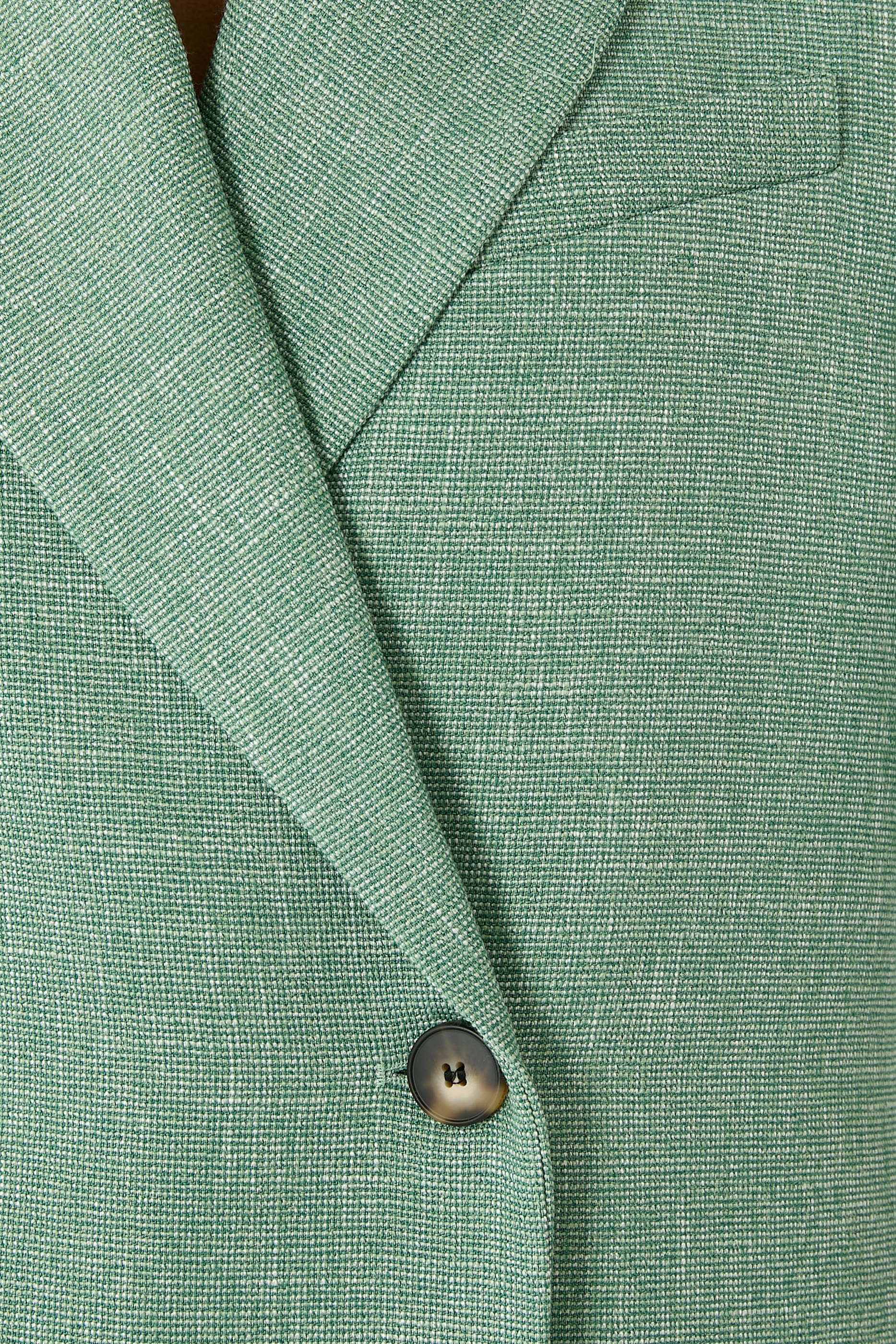 بليزر تيرينس