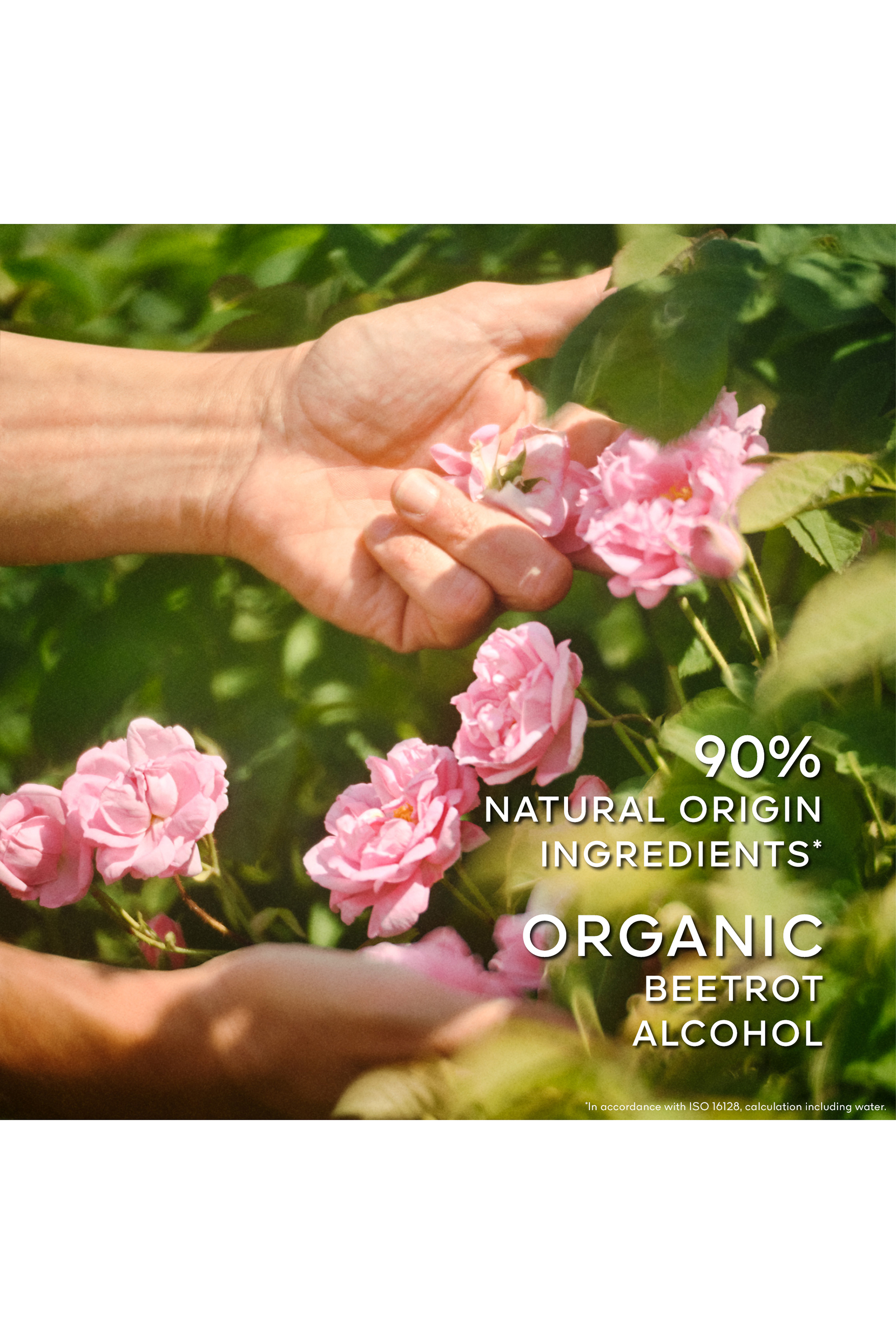 أو دو تواليت لا بيتيت روب نوار