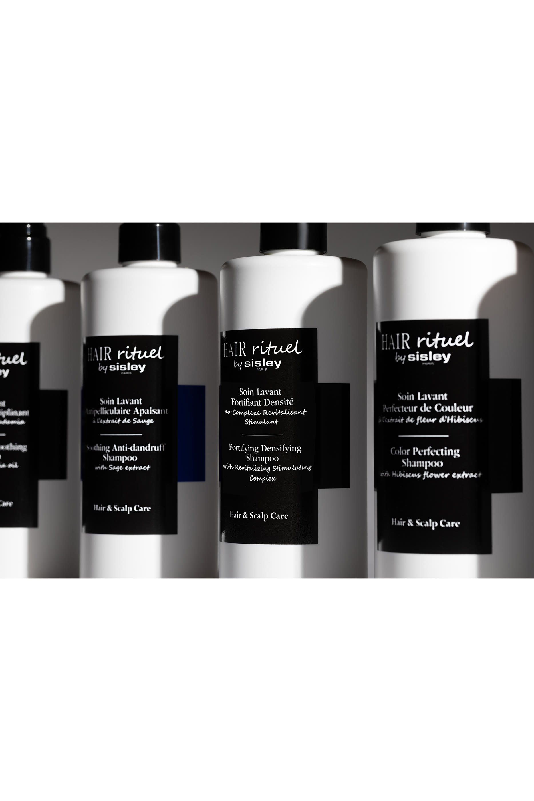 شامبو لتقوية وتكثيف الشعر