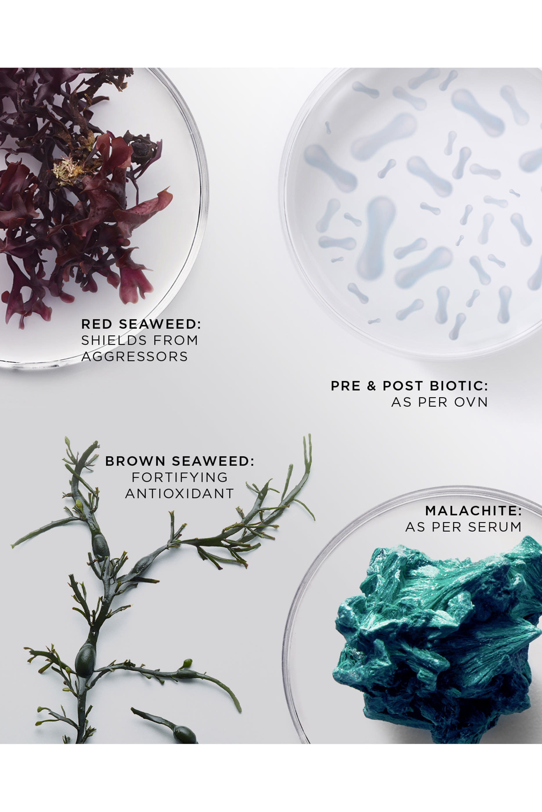 مرطب بريليانت رايدينت ريزيليانس