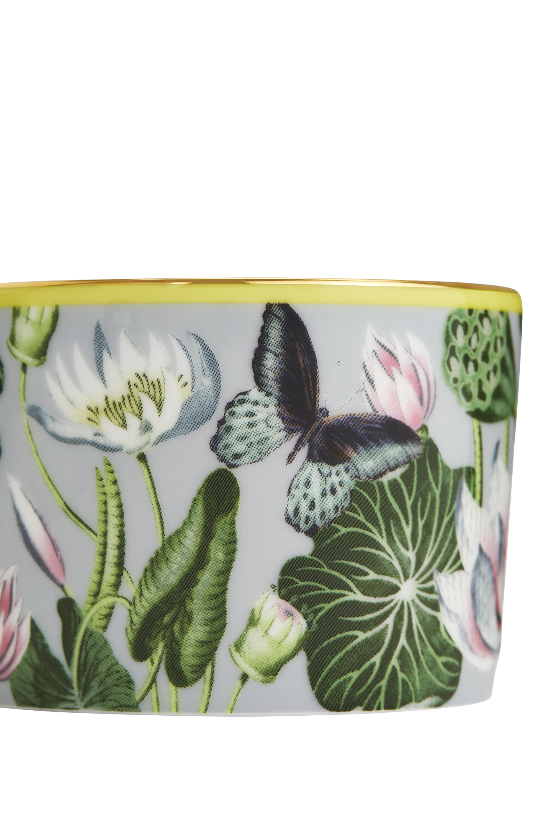 Wonderlust Waterlily Teacup & Saucer