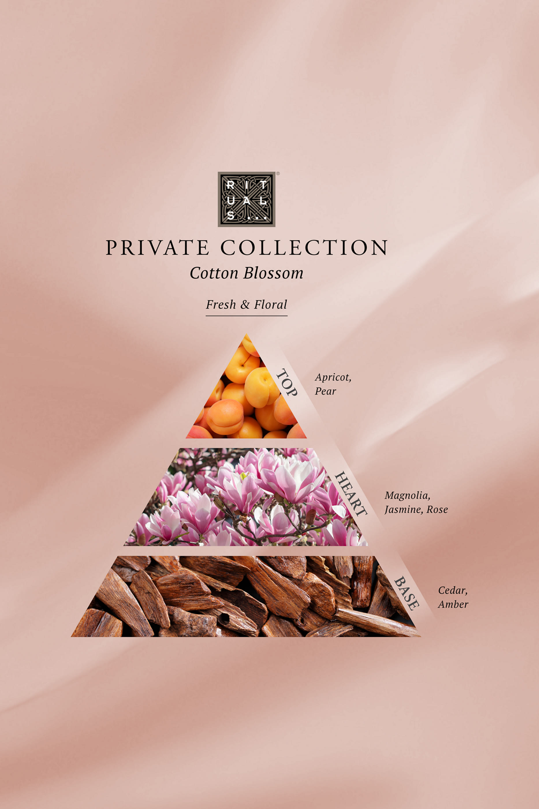 شمعة معطرة كوتن بلوسوم