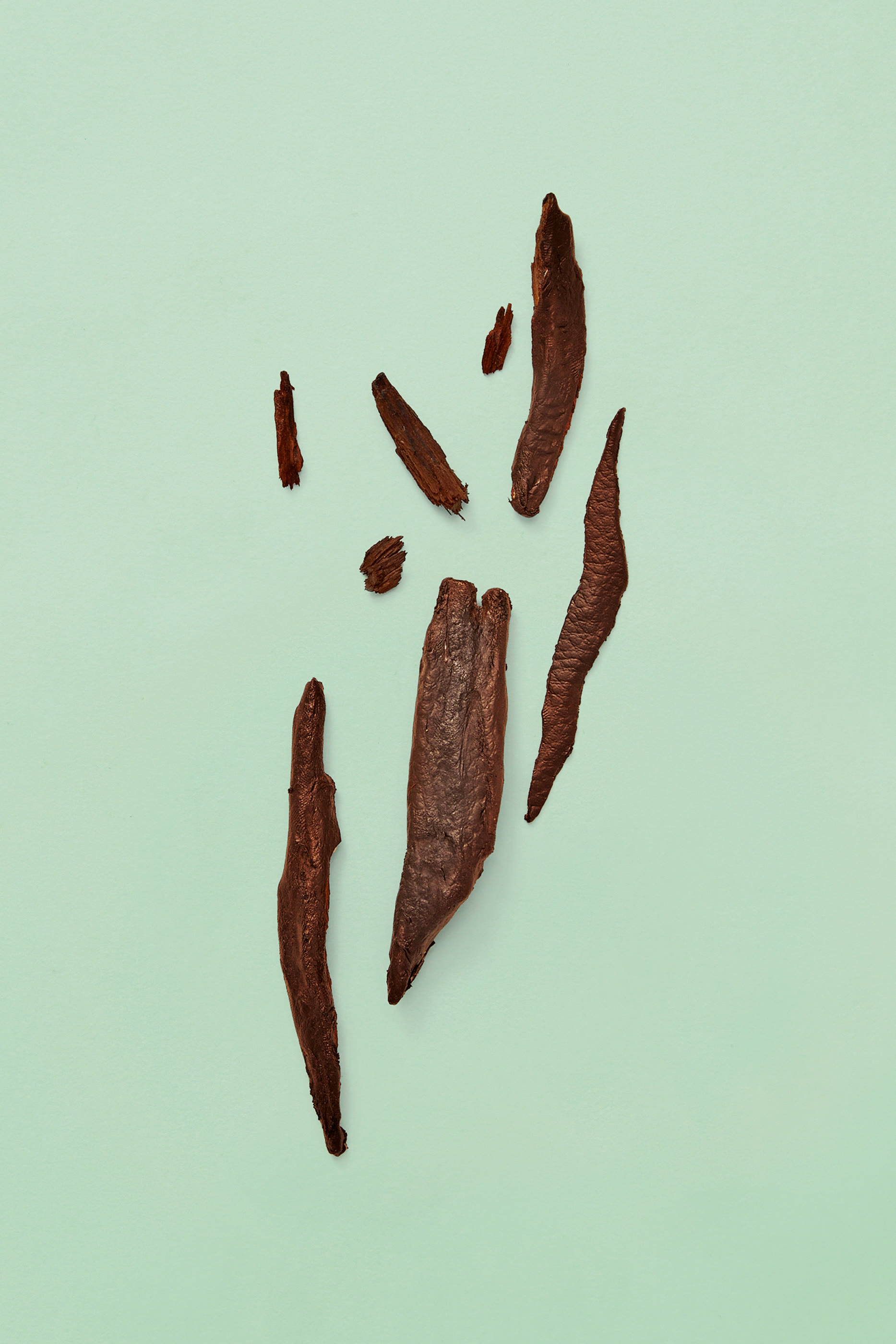 أو دو بارفان أبسولوت