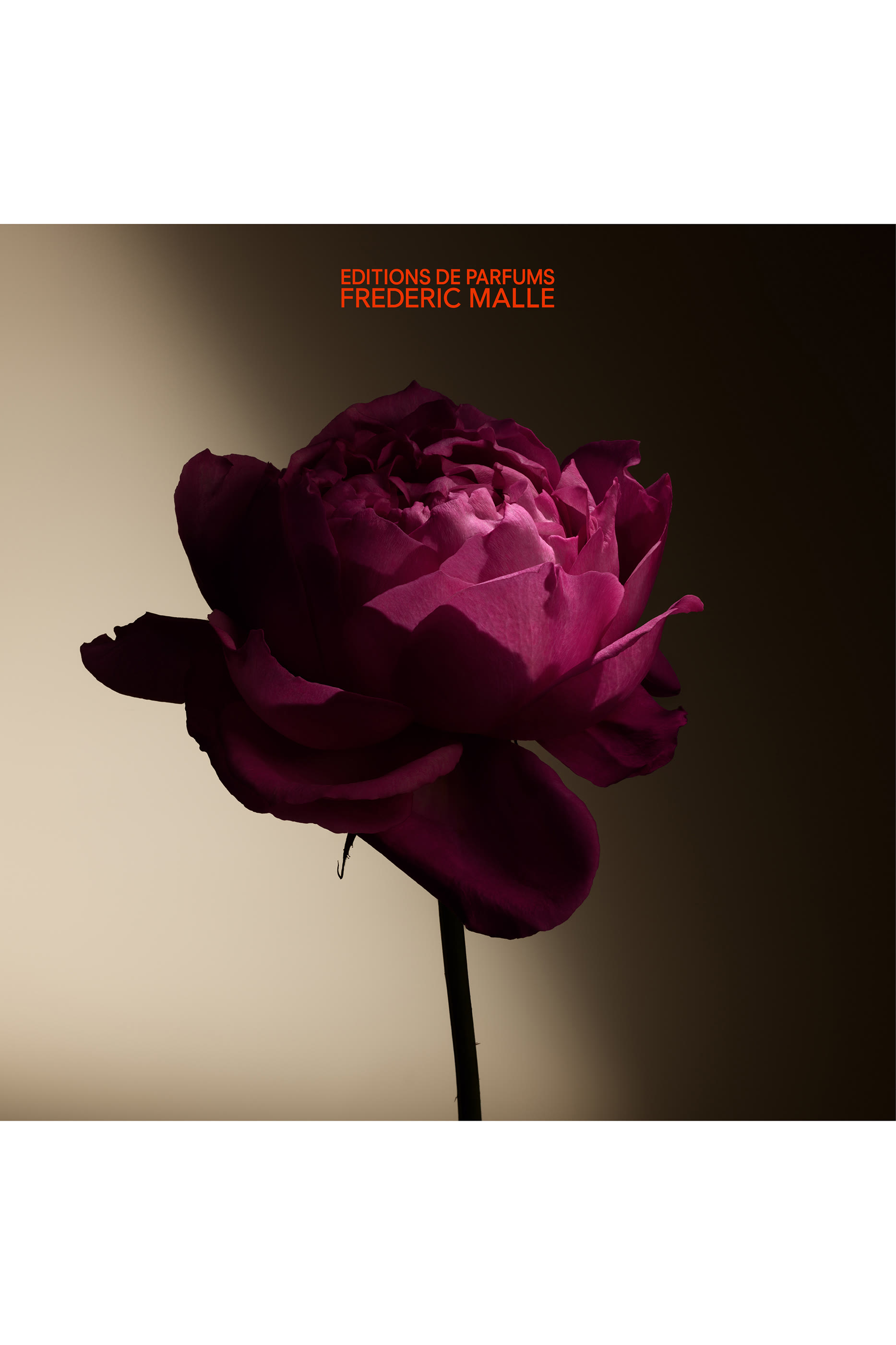 أو دو بارفان أمل