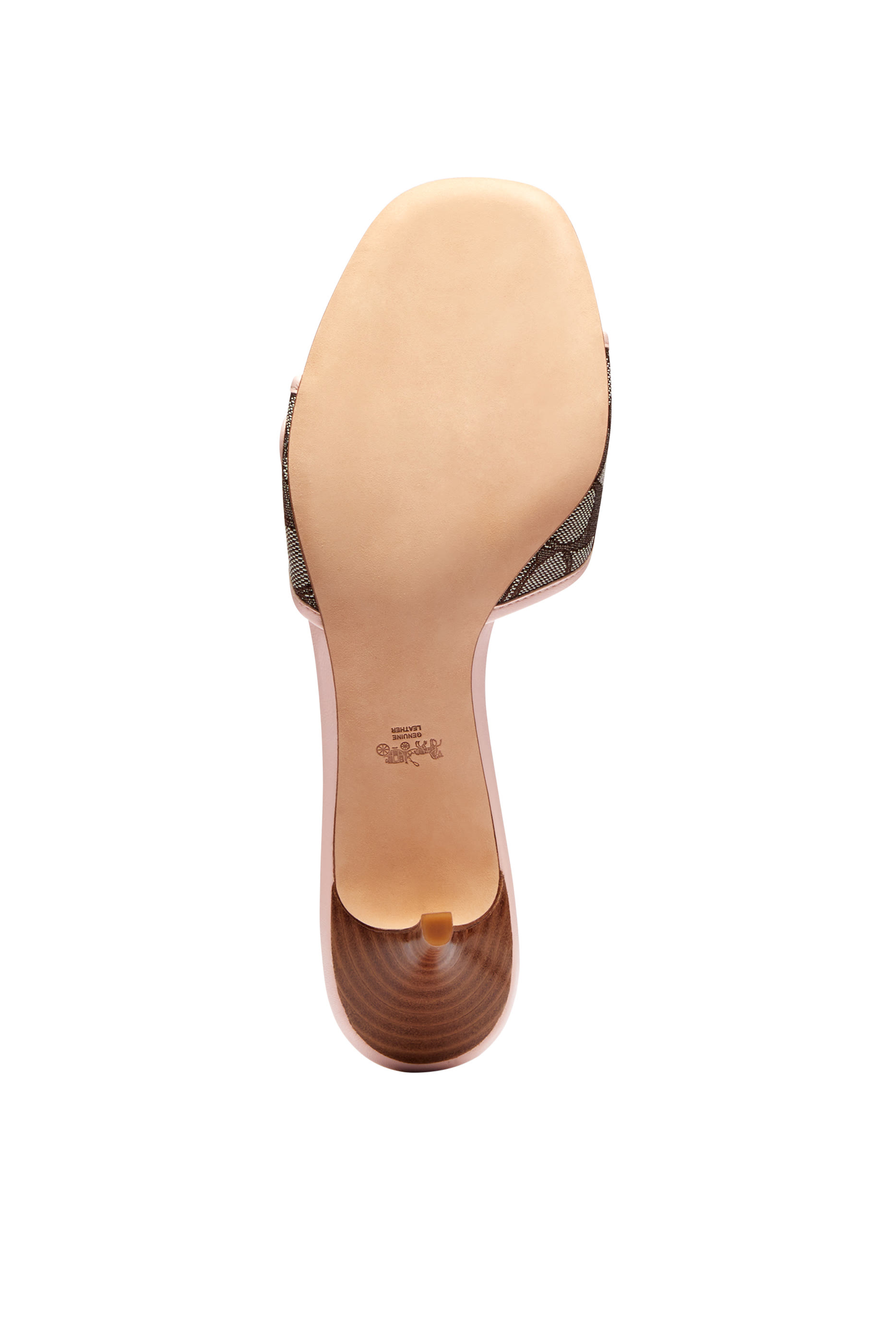 صندل سيغنتشر مارغوت جاكار 57