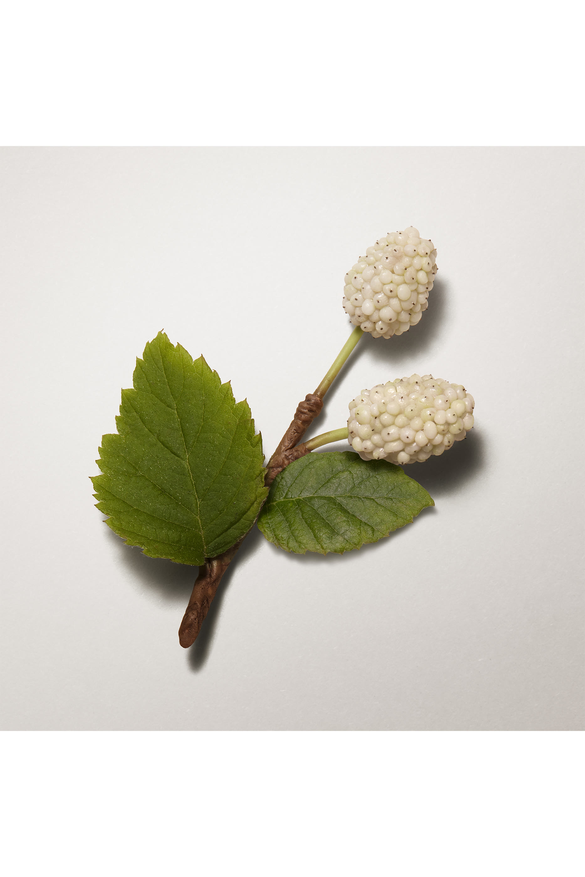 زيت مغذي للبشرة لي مانز ايرميس