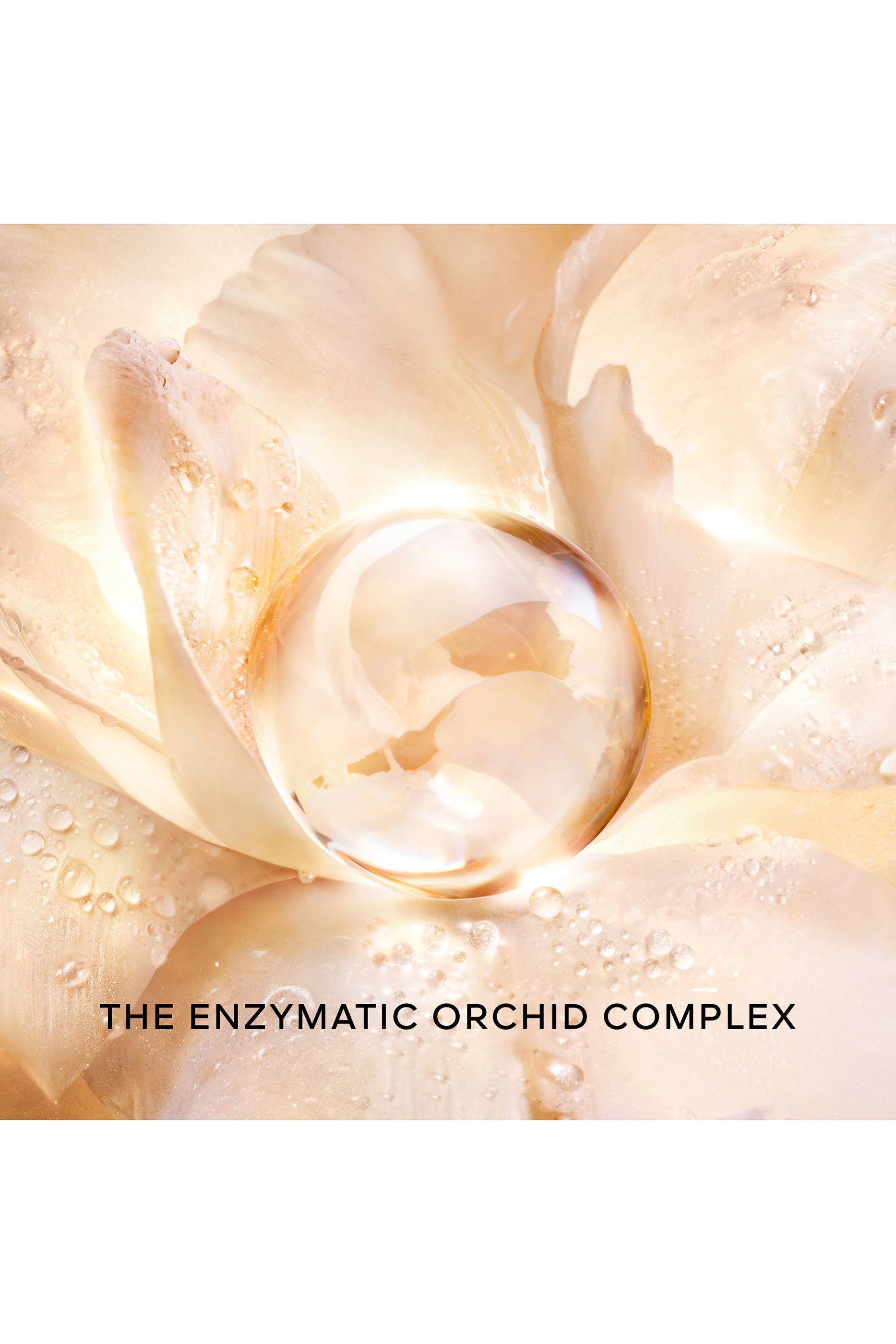 لوشن غولديسنس أوركيد إمبريال غولد نوبل