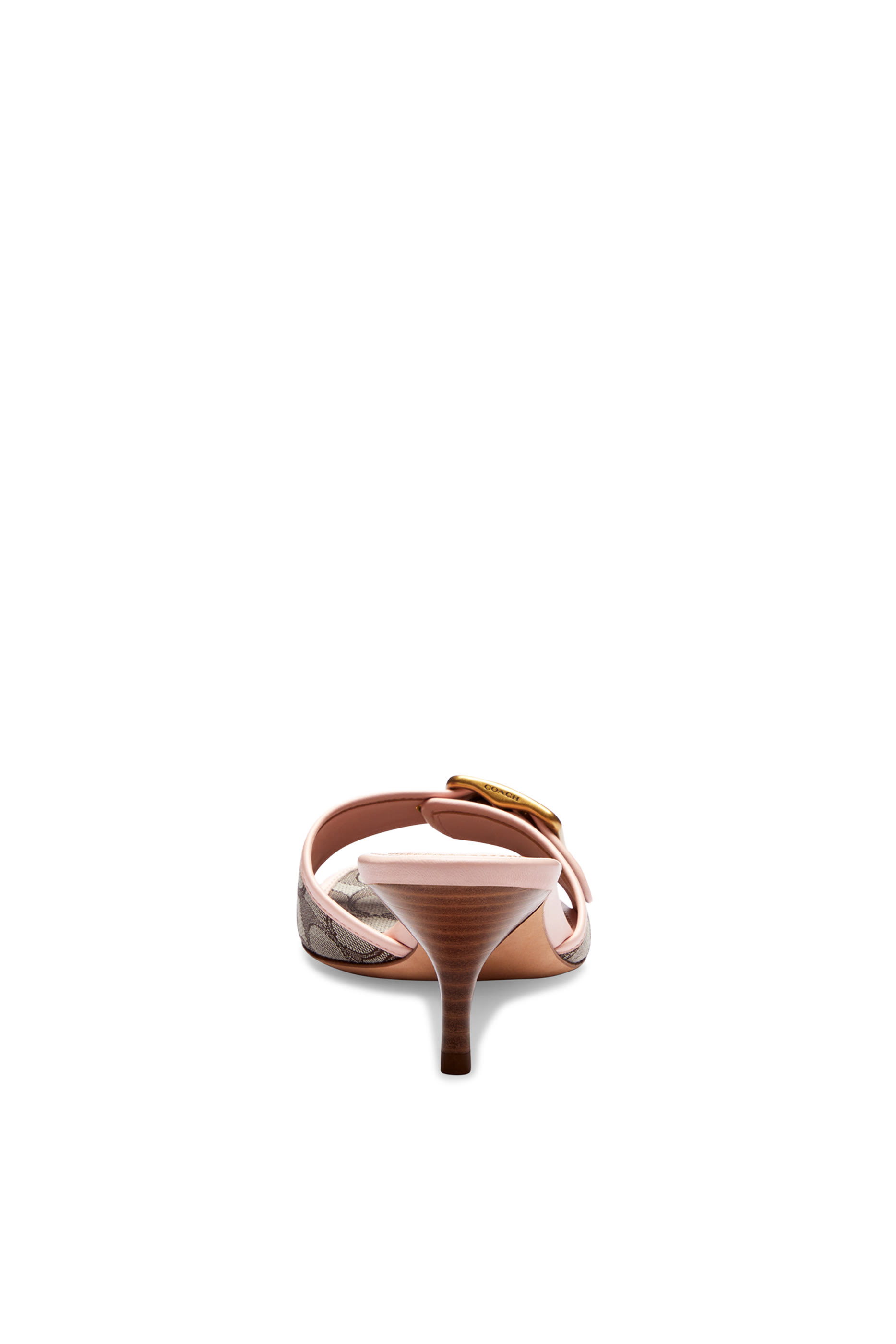 صندل سيغنتشر مارغوت جاكار 57