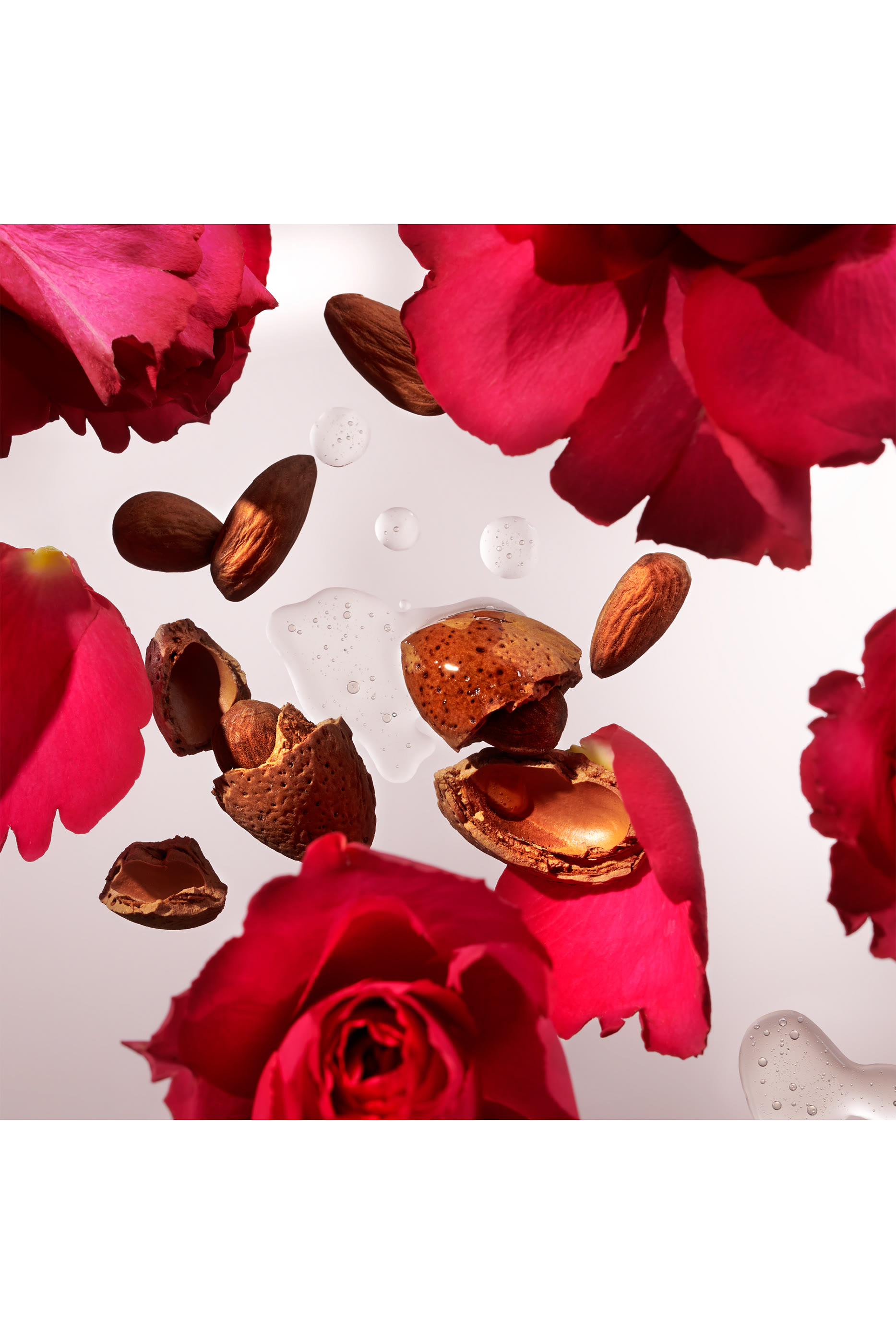 عبوة إعادة ملء موزع عطر ذا ريتوال اوف ايورفيدا