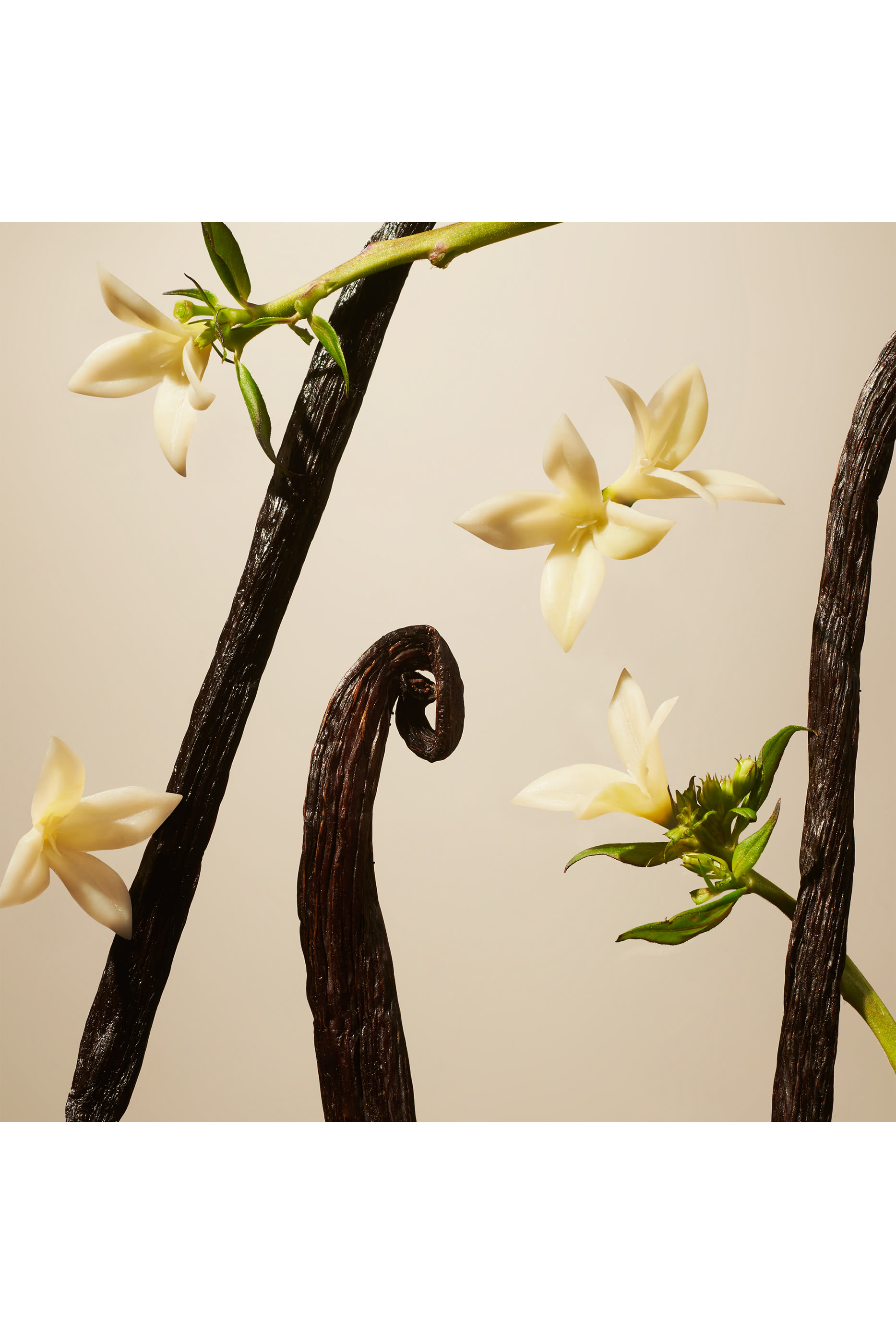 بخاخ معطر للمنزل سويد فانيلا