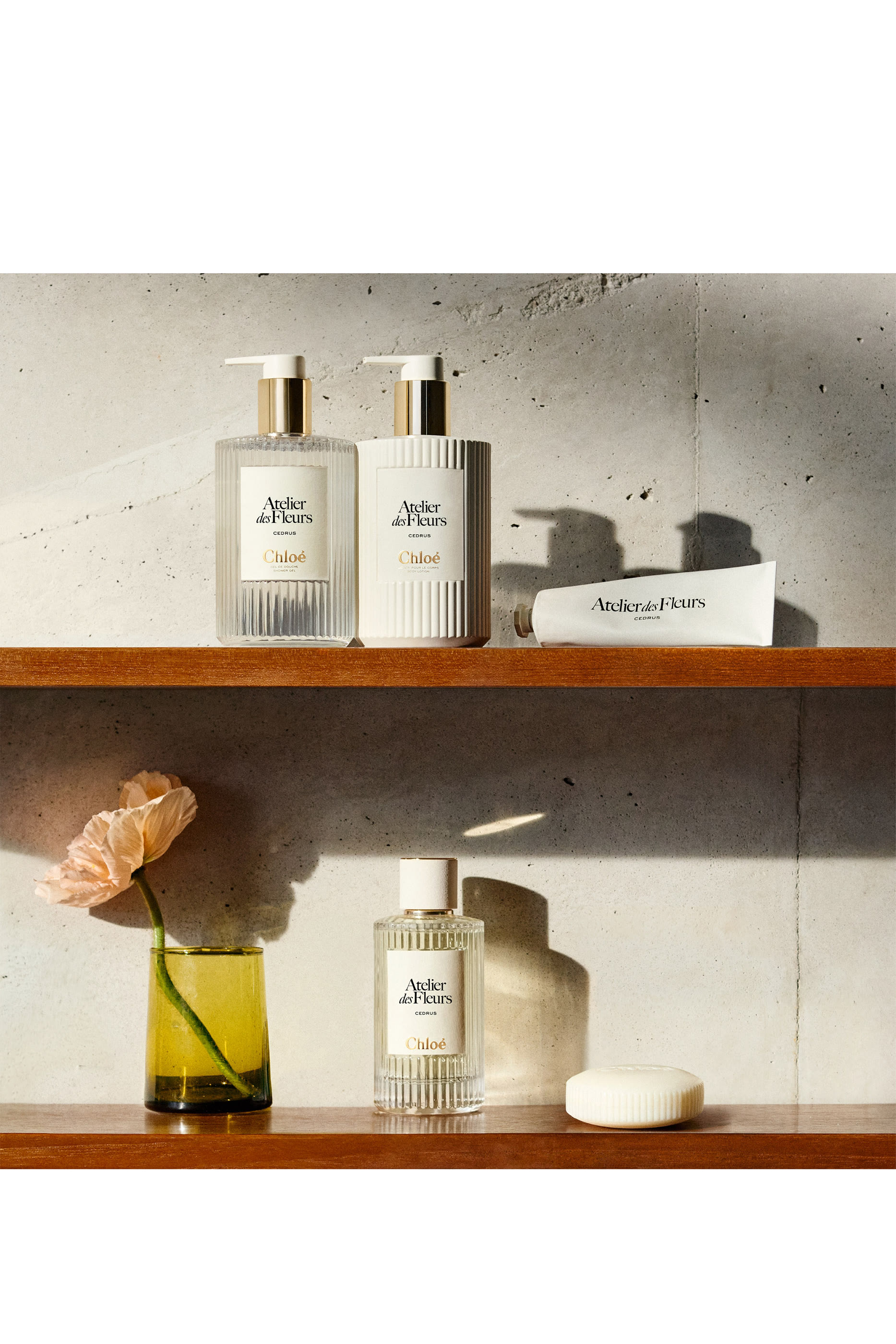 جل استحمام معطر سيدرس أتولييه دي فلور