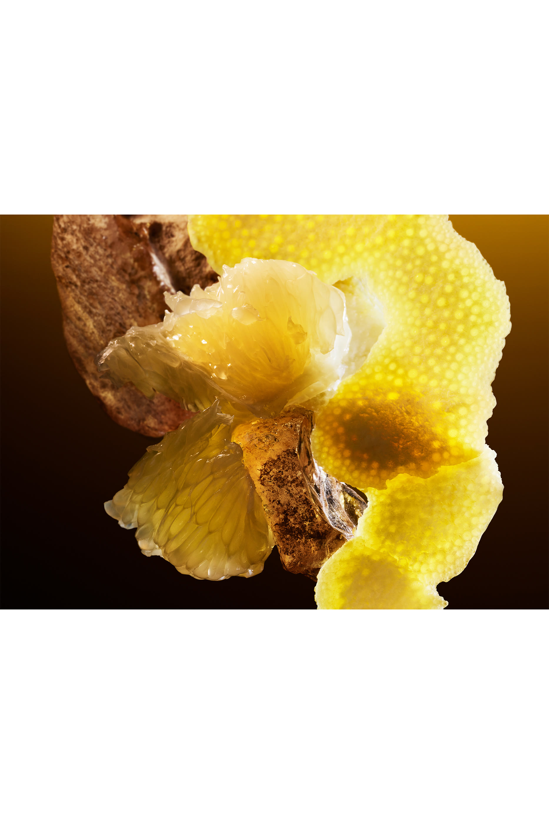 Le Gemme Tygar x Refik Anadol Eau de Parfum