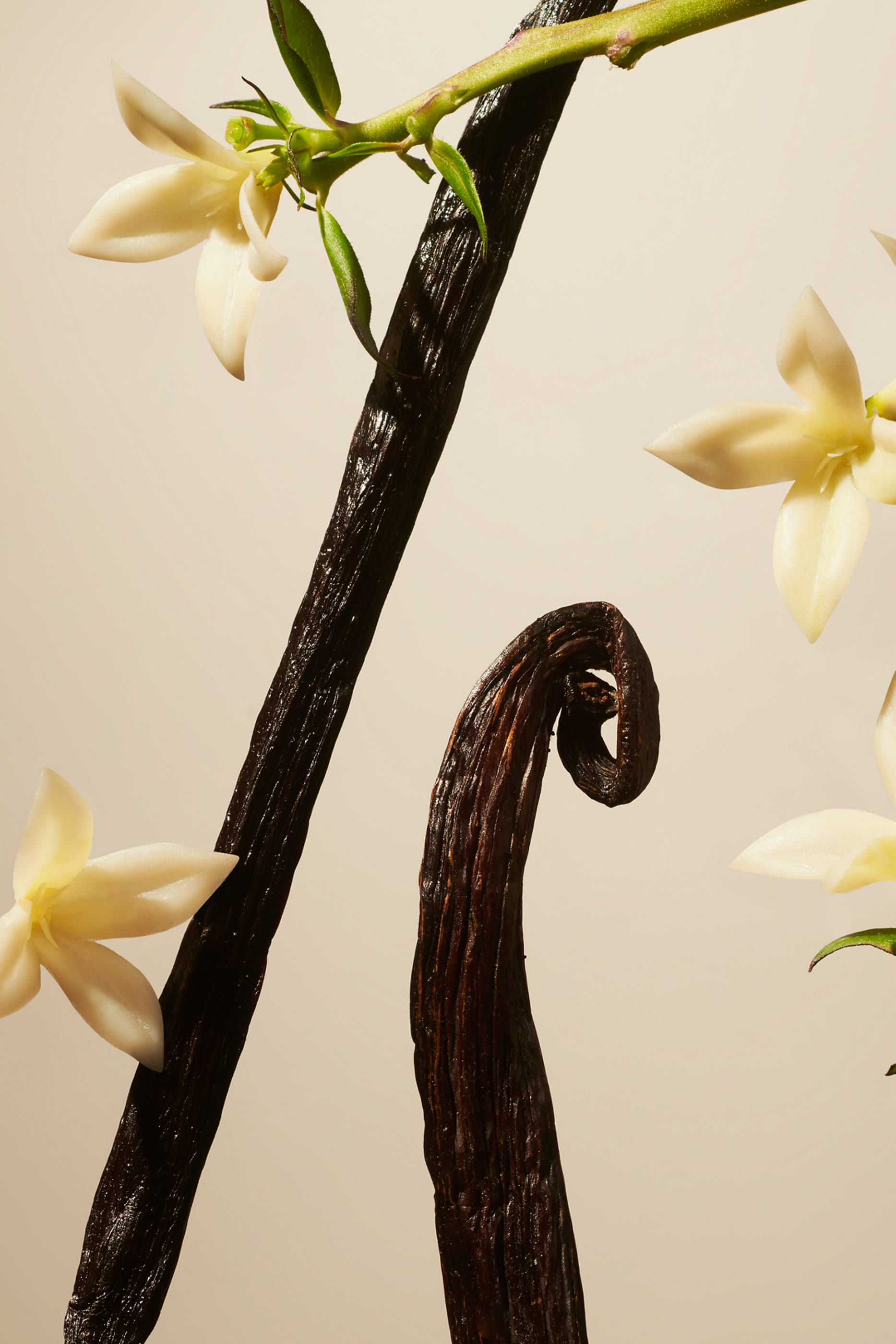 شمعة معطرة سويد فانيلا