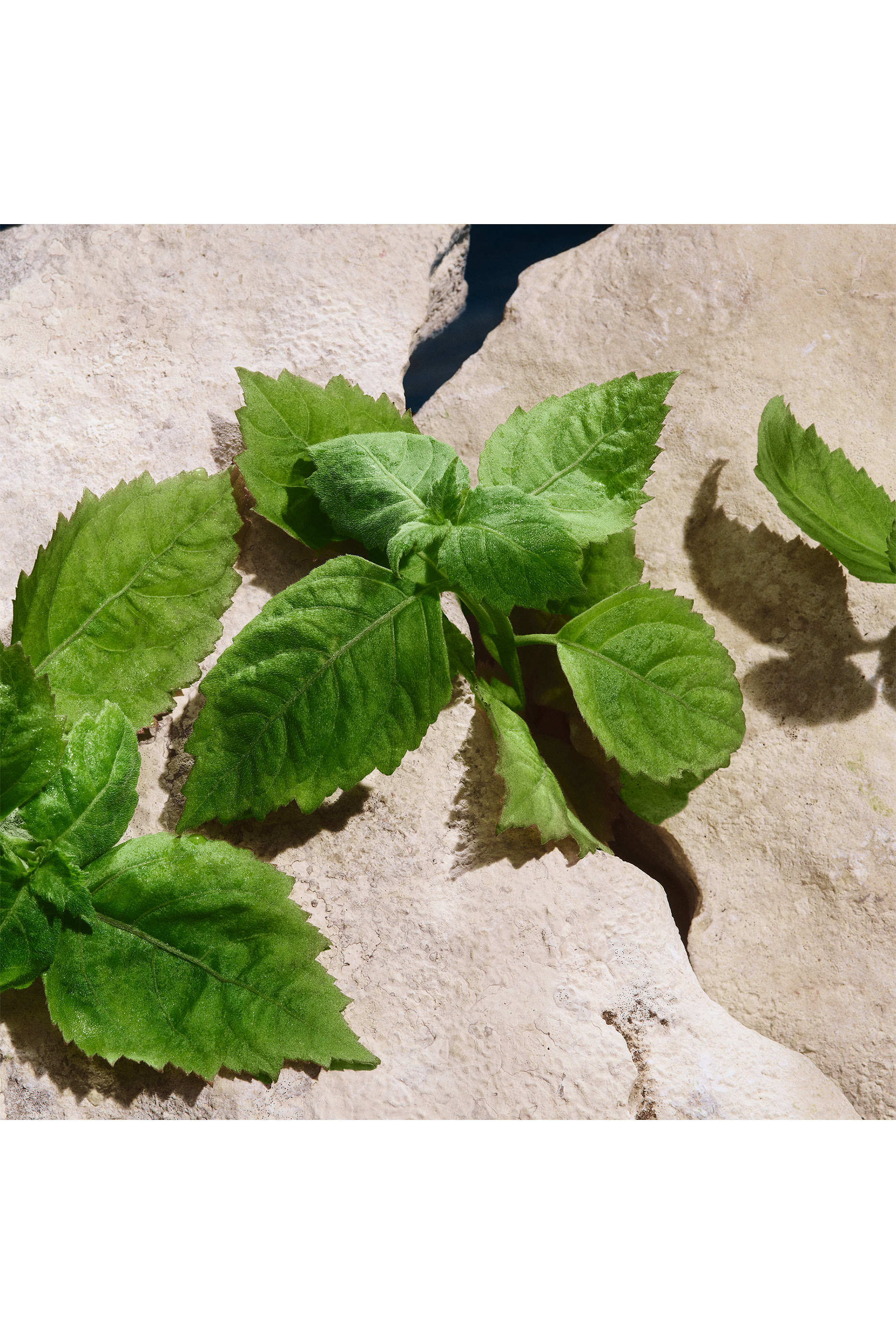 أو دو تواليت لايت بلو للرجال