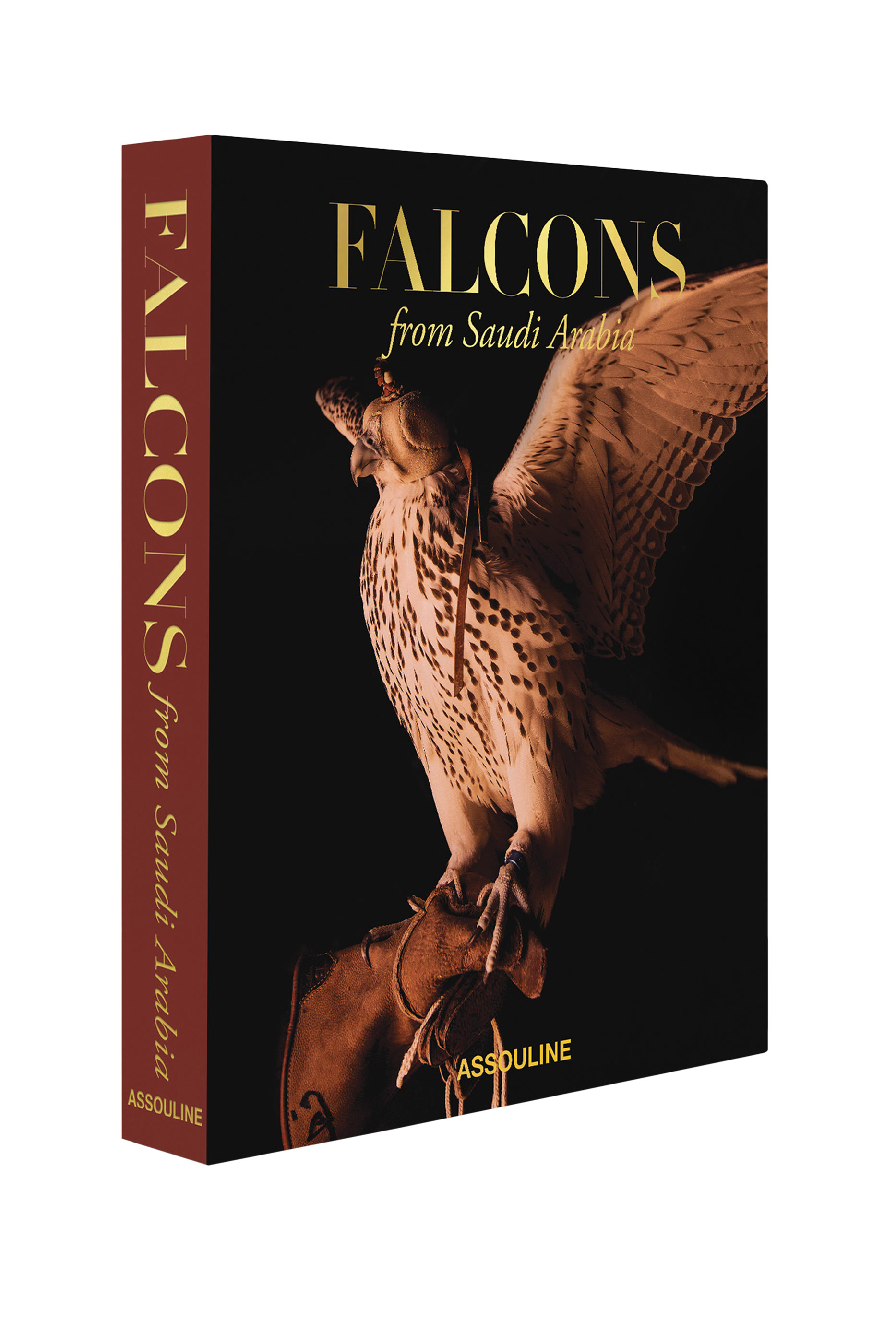 كتاب صقور من المملكة العربية السعودية