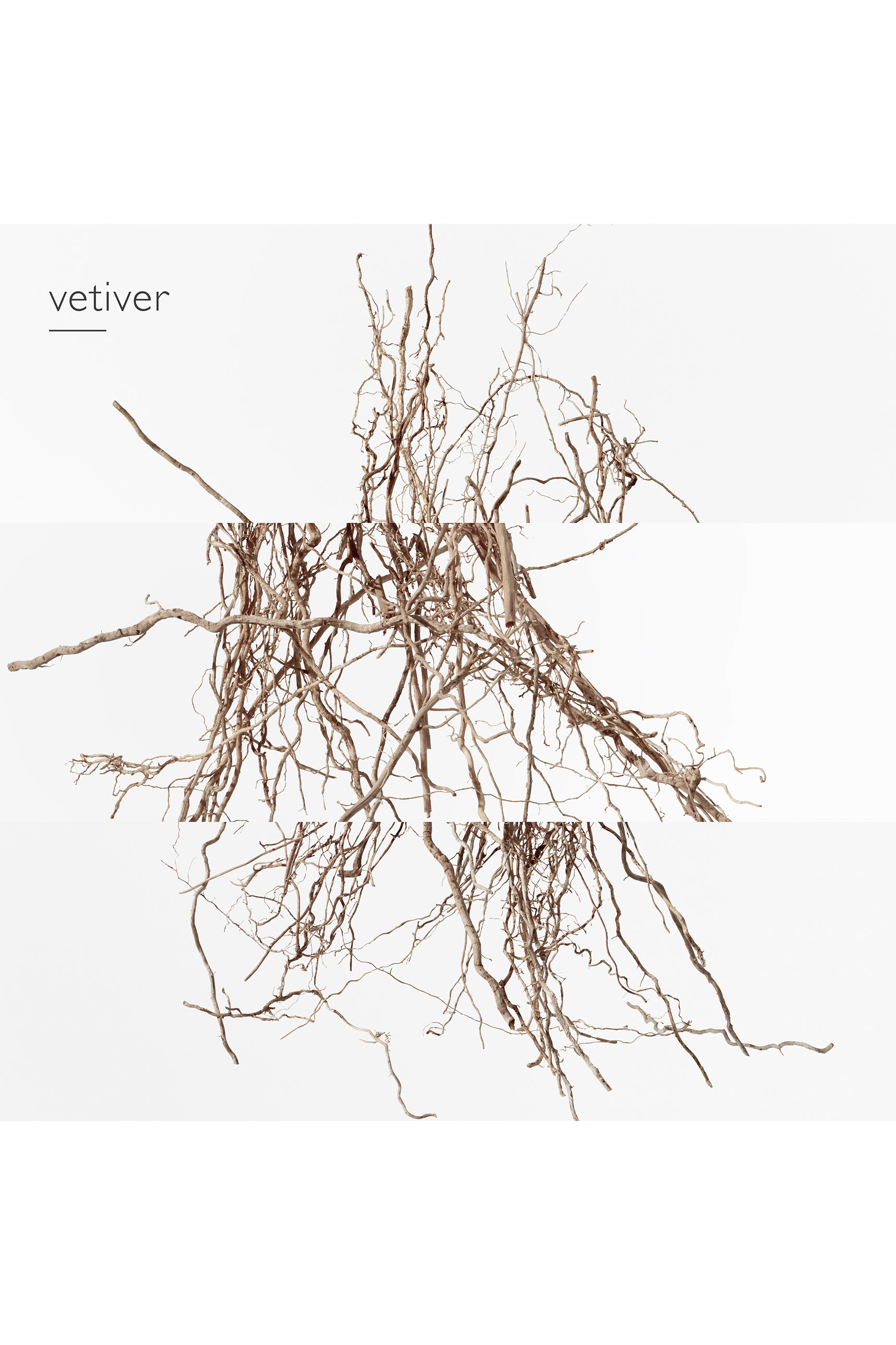 Terre d'Herm&egrave;s Eau Intense V&eacute;tiver, ماء عطر