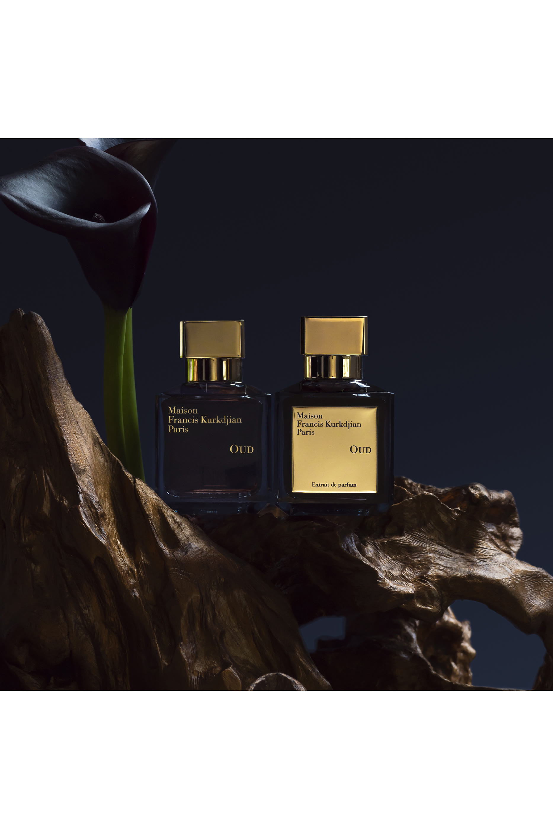 عطر عود المركز