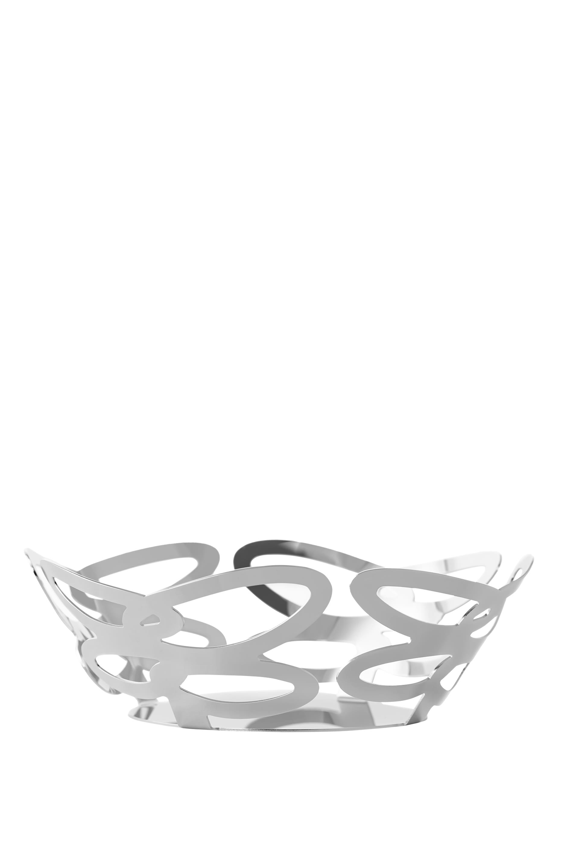 سلة ستانلس ستيل