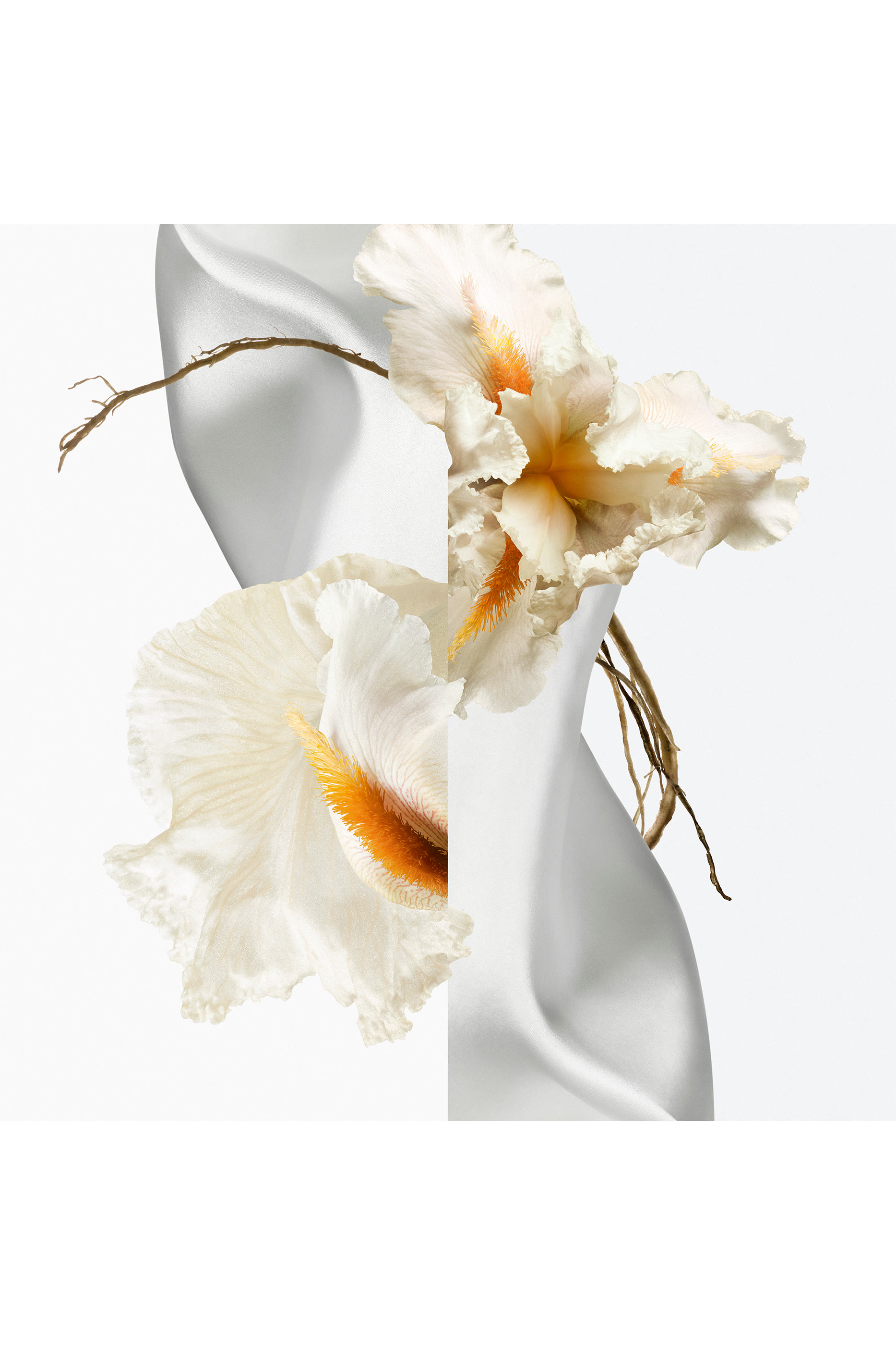 Musc Pallida Essence de Parfum