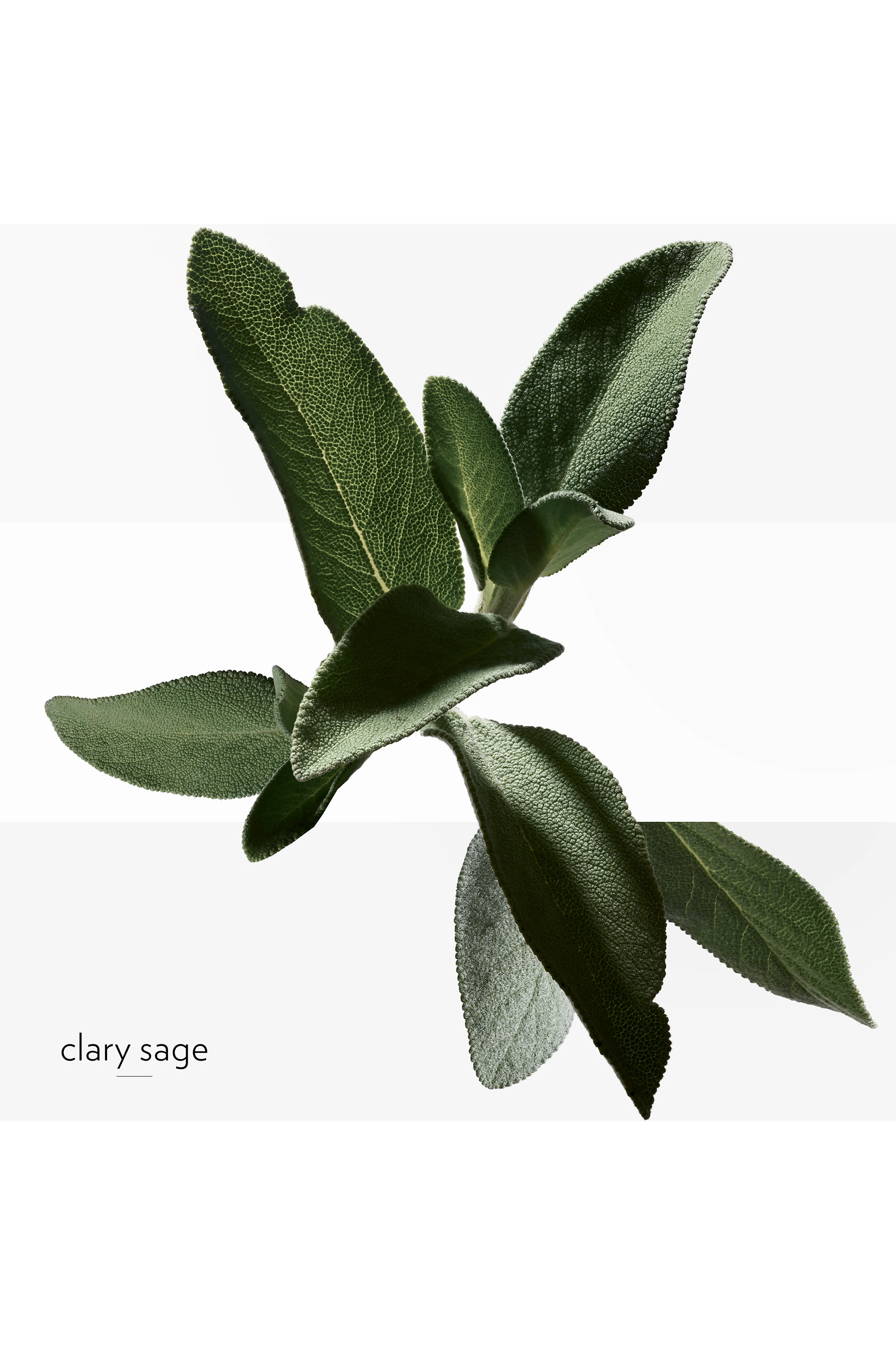 كريم H24 منعش ومرطب للوجه