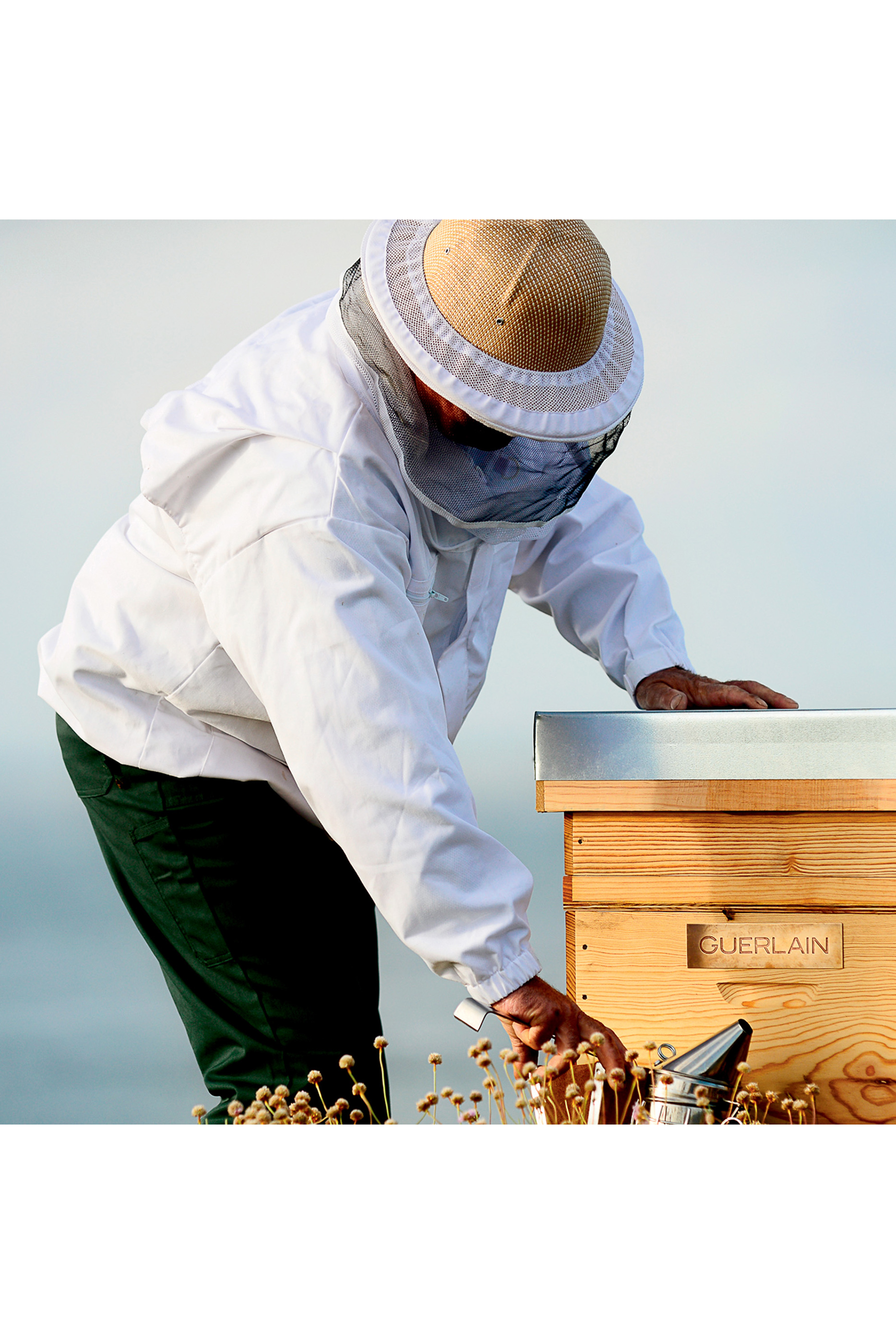 كريم ليلي علاجي أباي رويال بالعسل