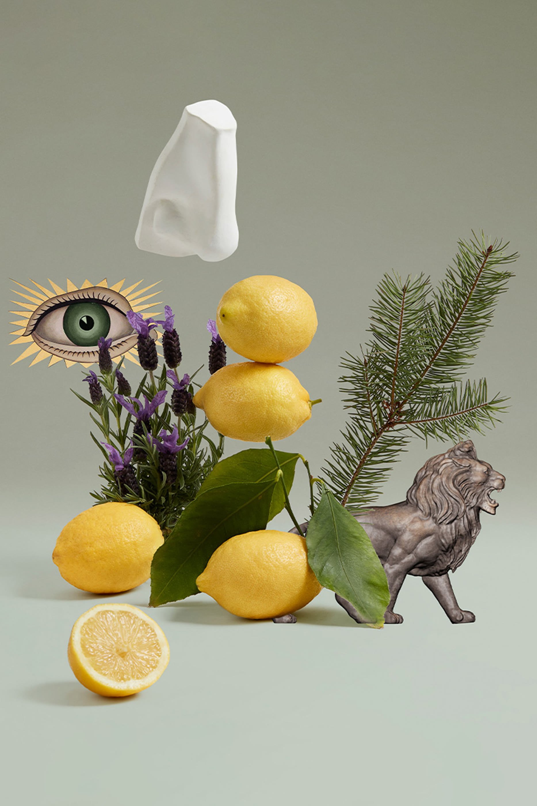 أو دو تواليت بلنهايم بوكيه