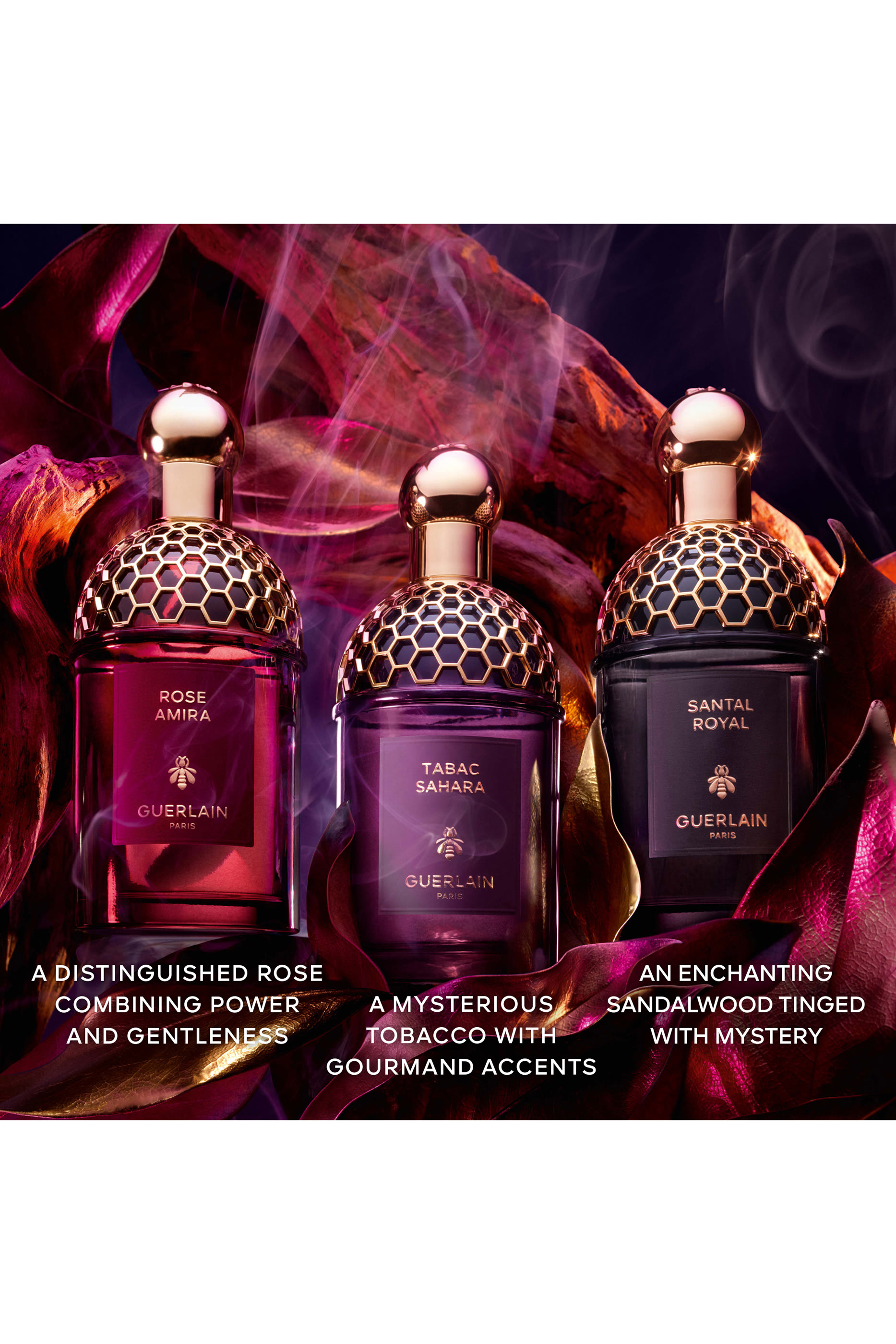 أو دو بارفان أبسولوس أليجوريا تاباك صحارى