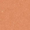 17W Medium - Peach warm undertones