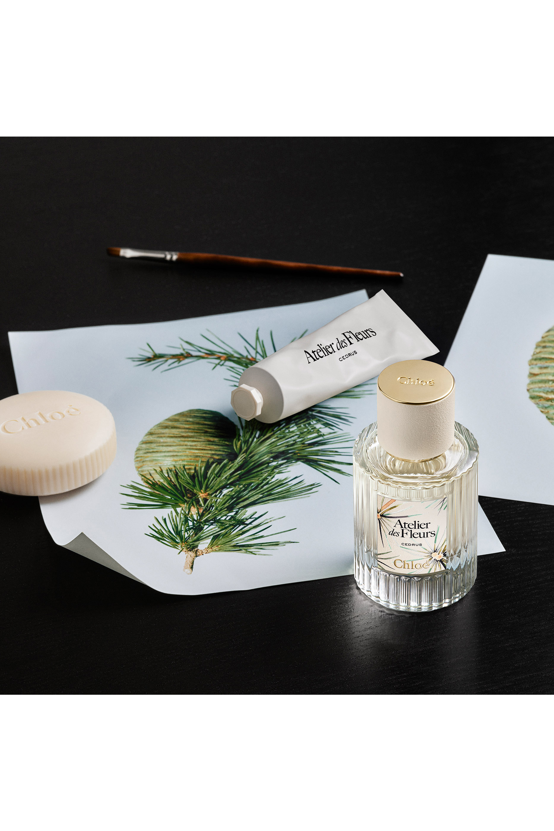 Atelier des Fleurs Cedrus Limited Edition Eau de Parfum 