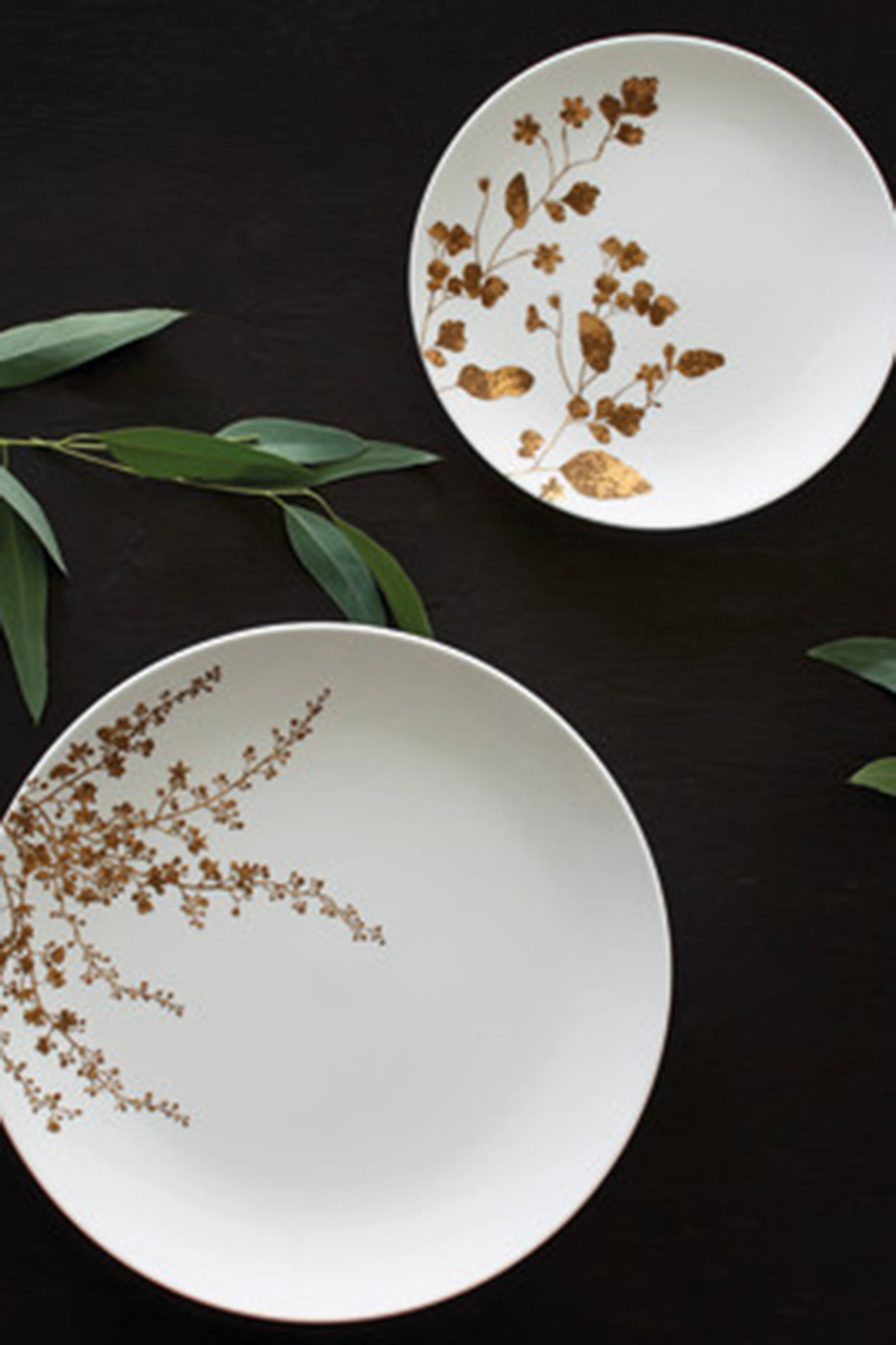 وعاء إفطار جاردن 15