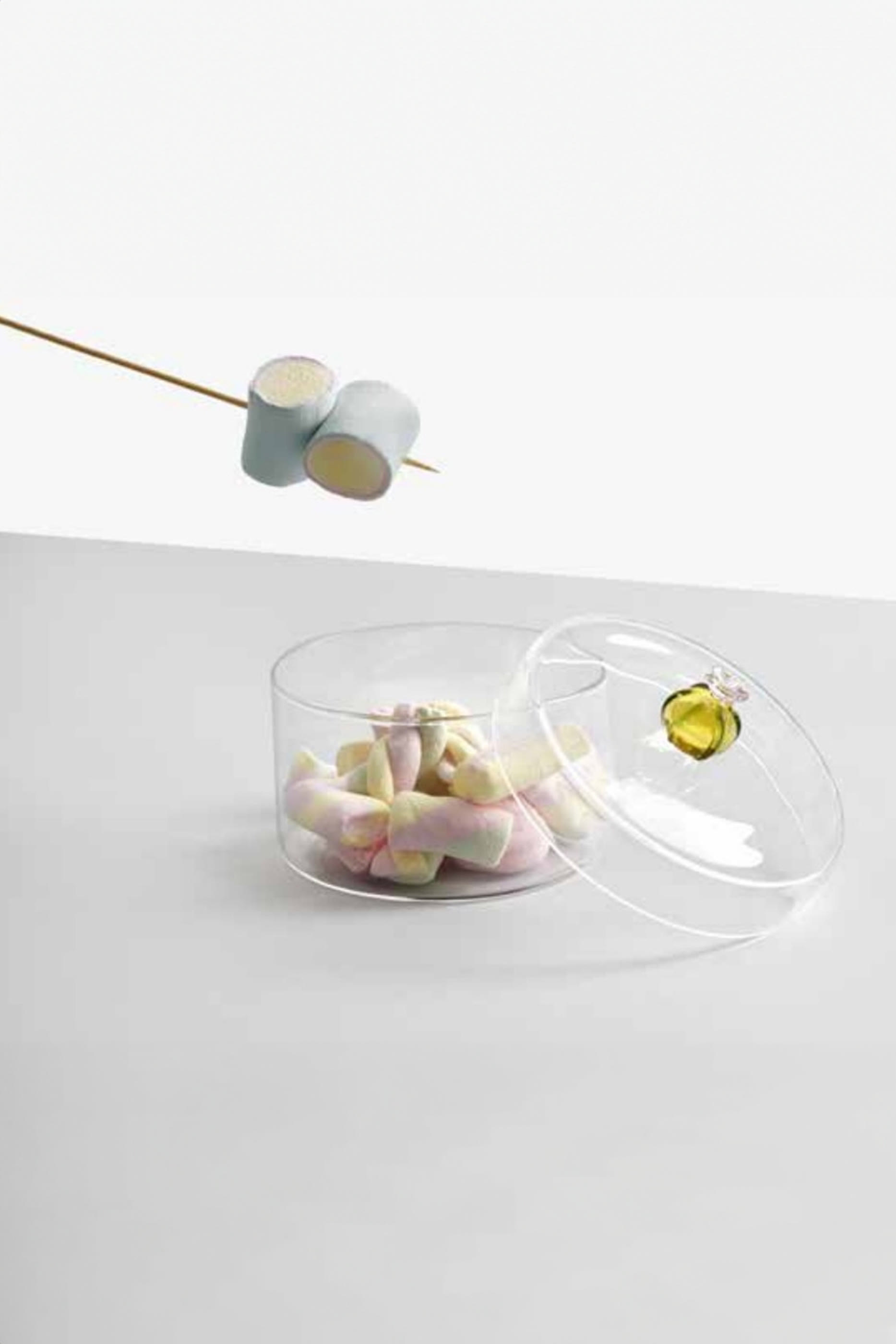 علبة صغيرة مزينة بصبار