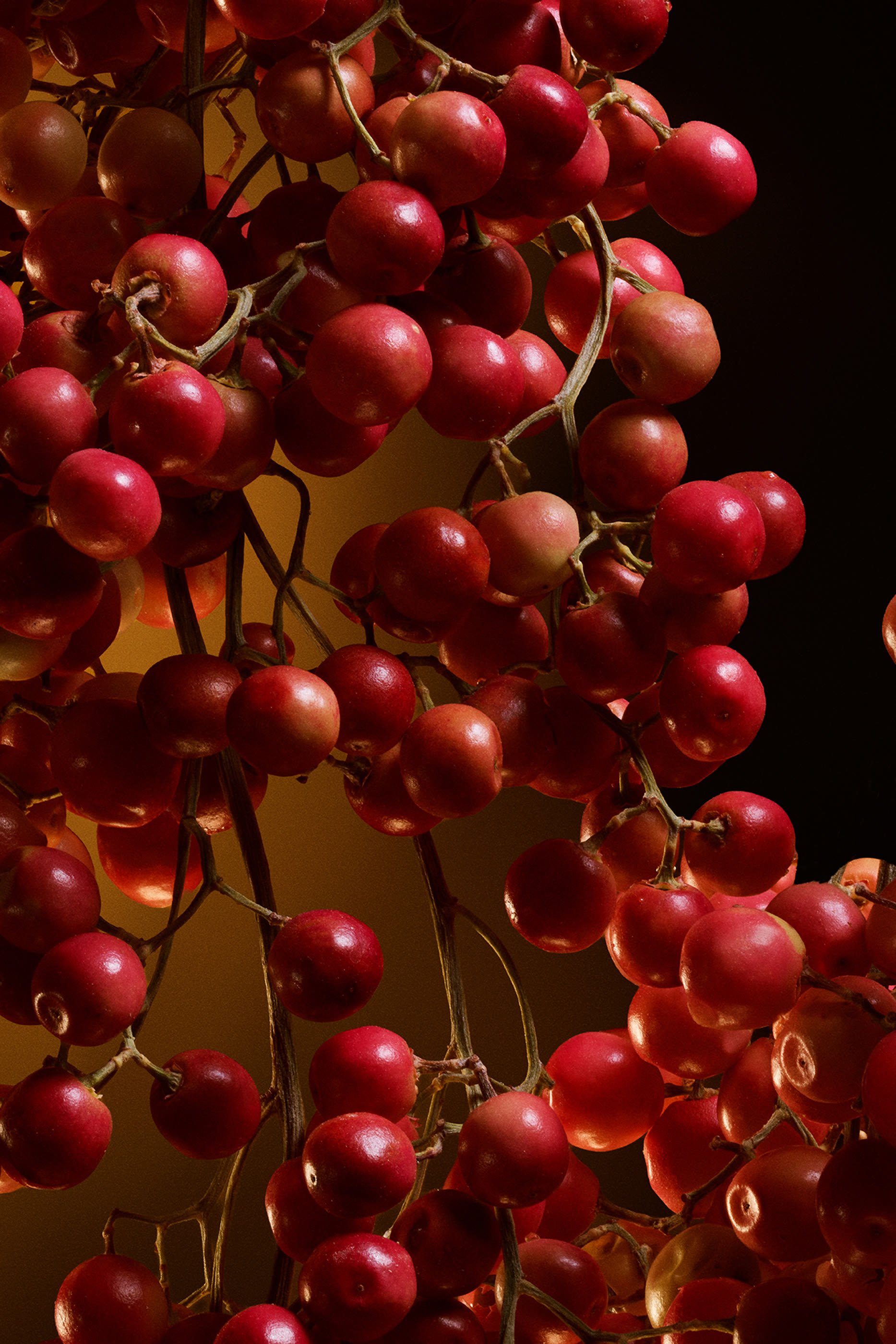 أو دو بارفان مركز ذا وان