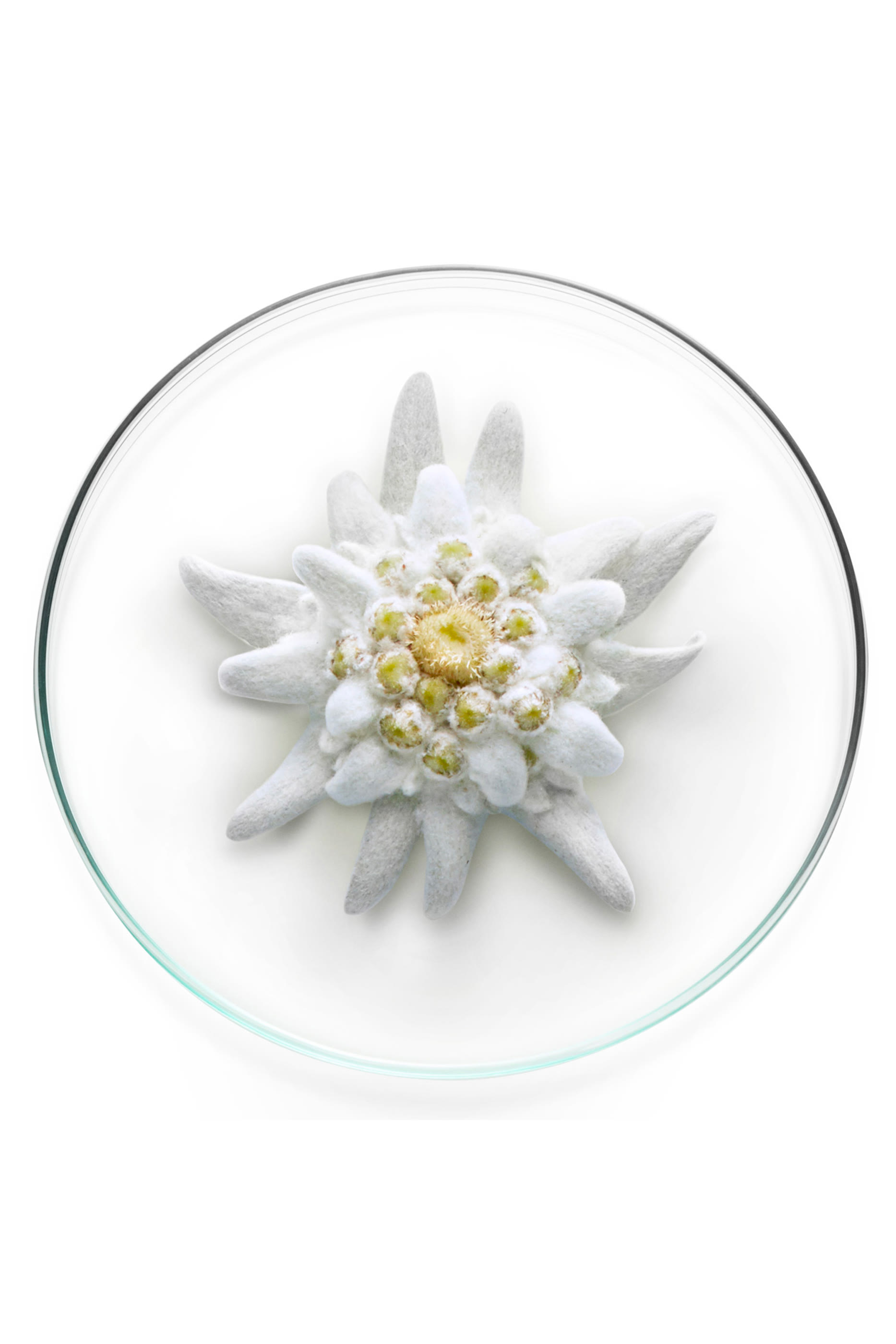 جل إكسبرت أكوا للحماية من الأشعة فوق البنفسجية Spf 50