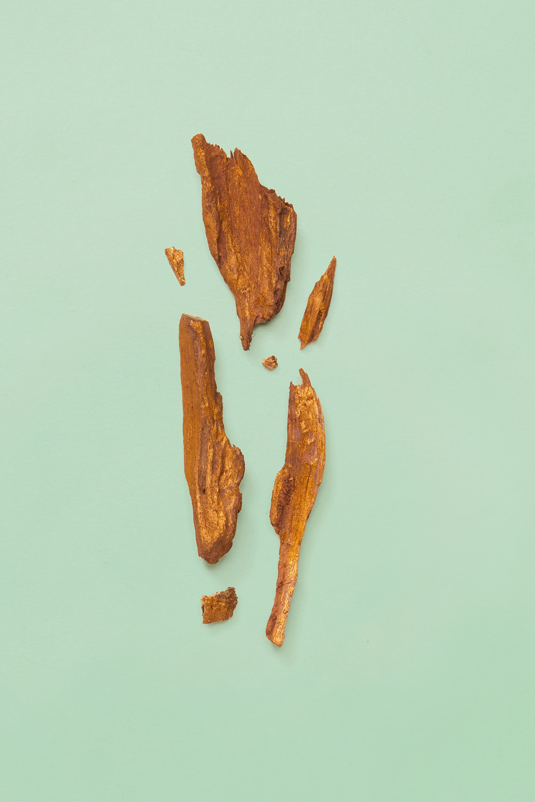 أو دو بارفان أبسولوت