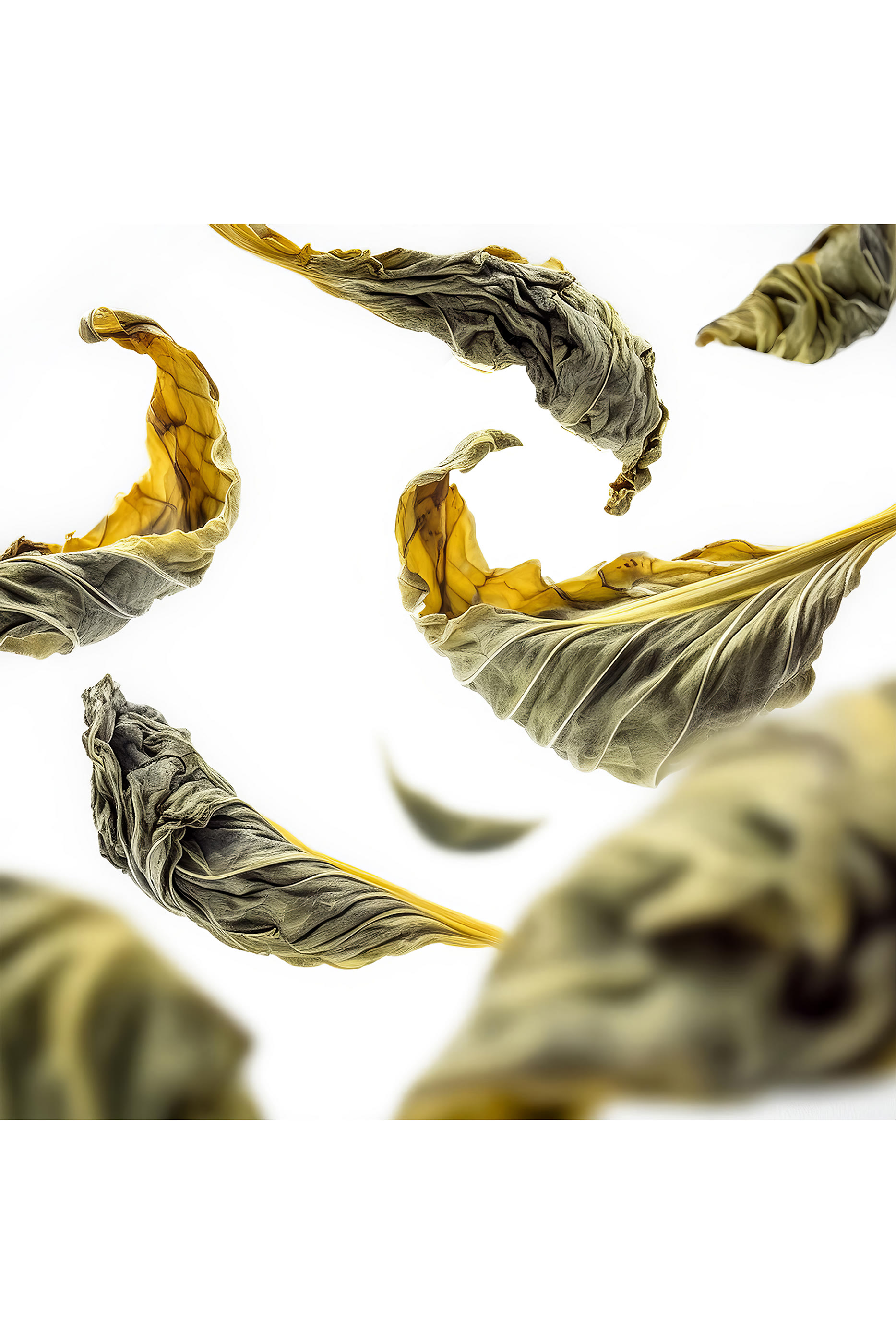 موزع عطر رويال تي برايقت كولكشن