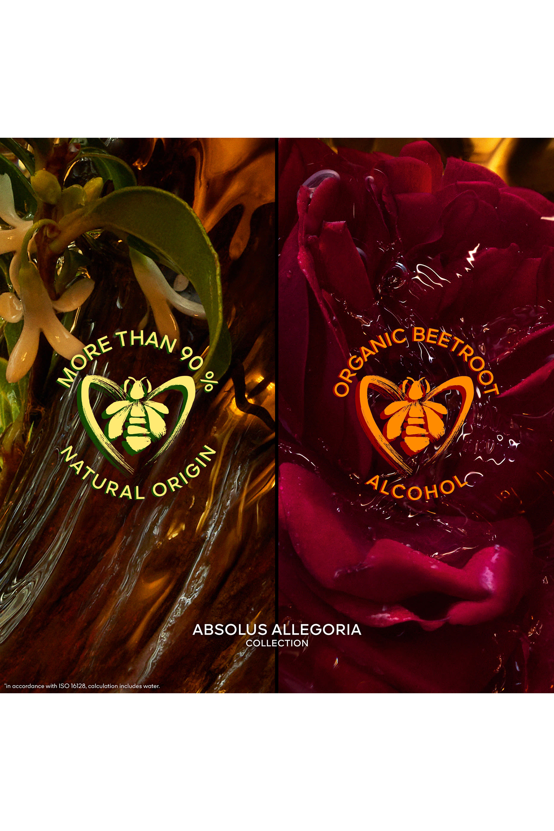 أو دو بارفان أبسولوس أليجوريا تاباك صحارى