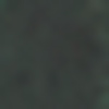 أخضر داكن