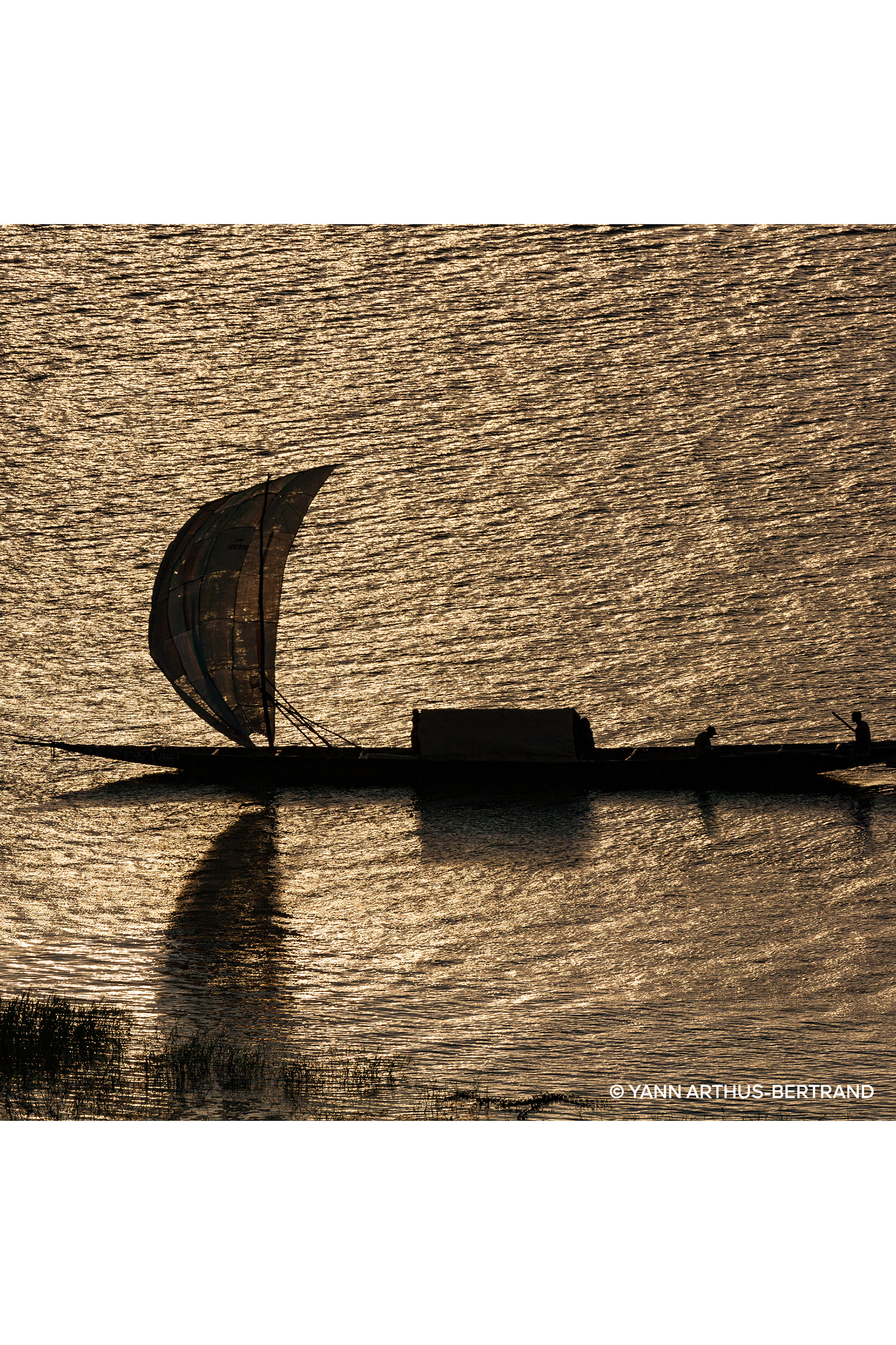 أو دو بارفان عود إسينتيل