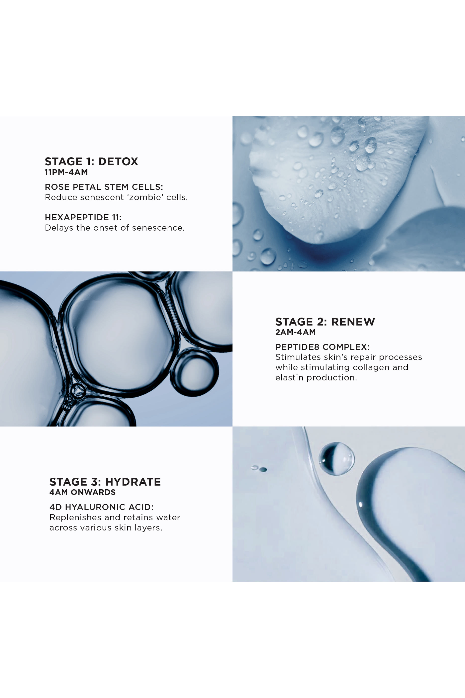 سيروم أبسولوت ببتيد 8 الليلي