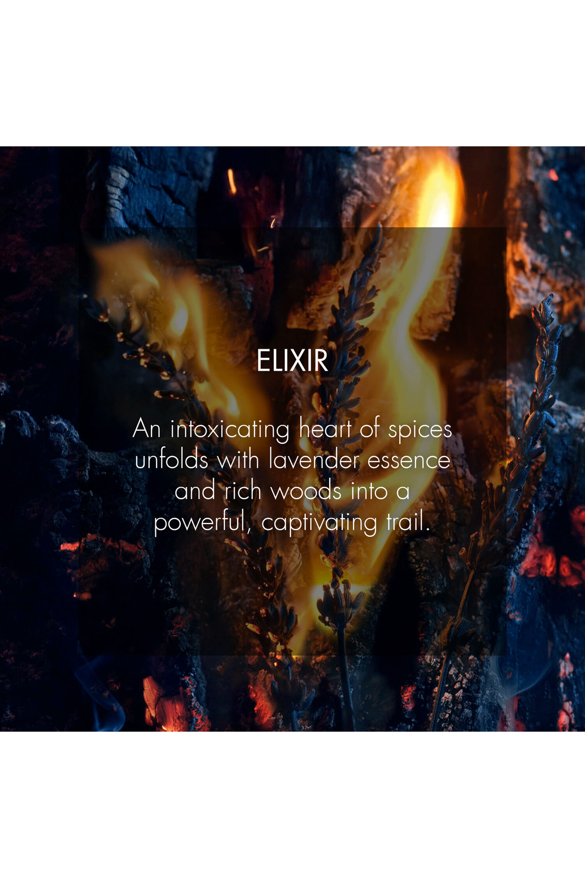 بخاخ سوفاج الكسير