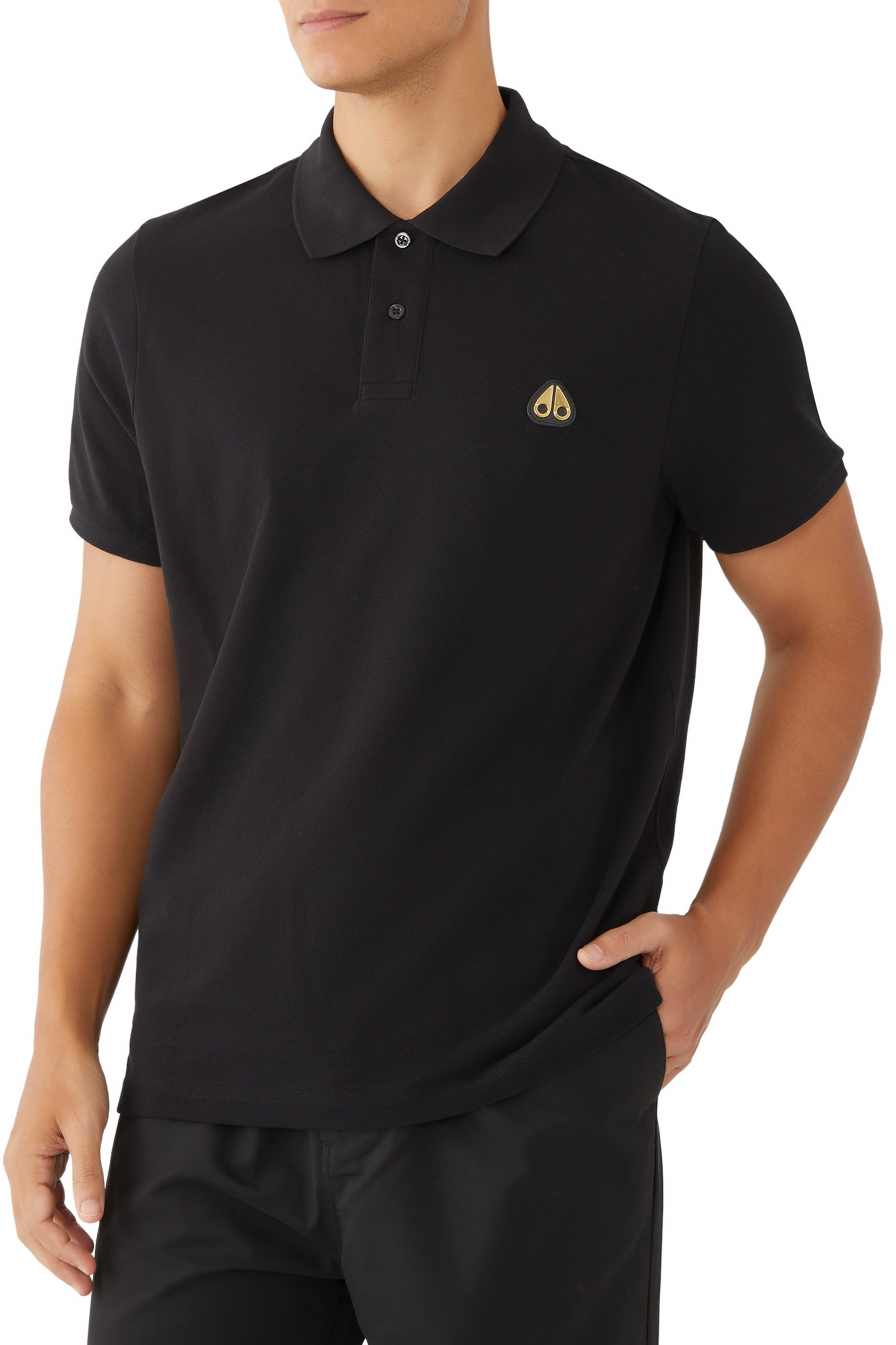 قميص بولو ايفرت