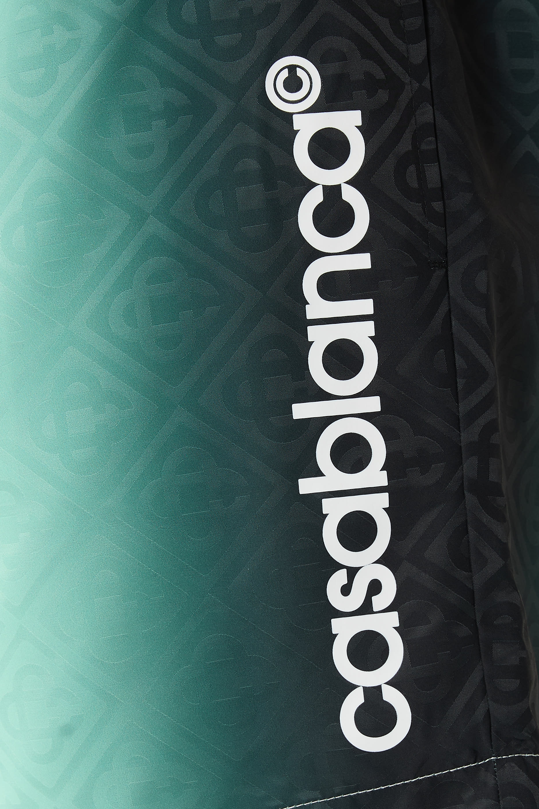 Gradient Jacquard Swim Shorts