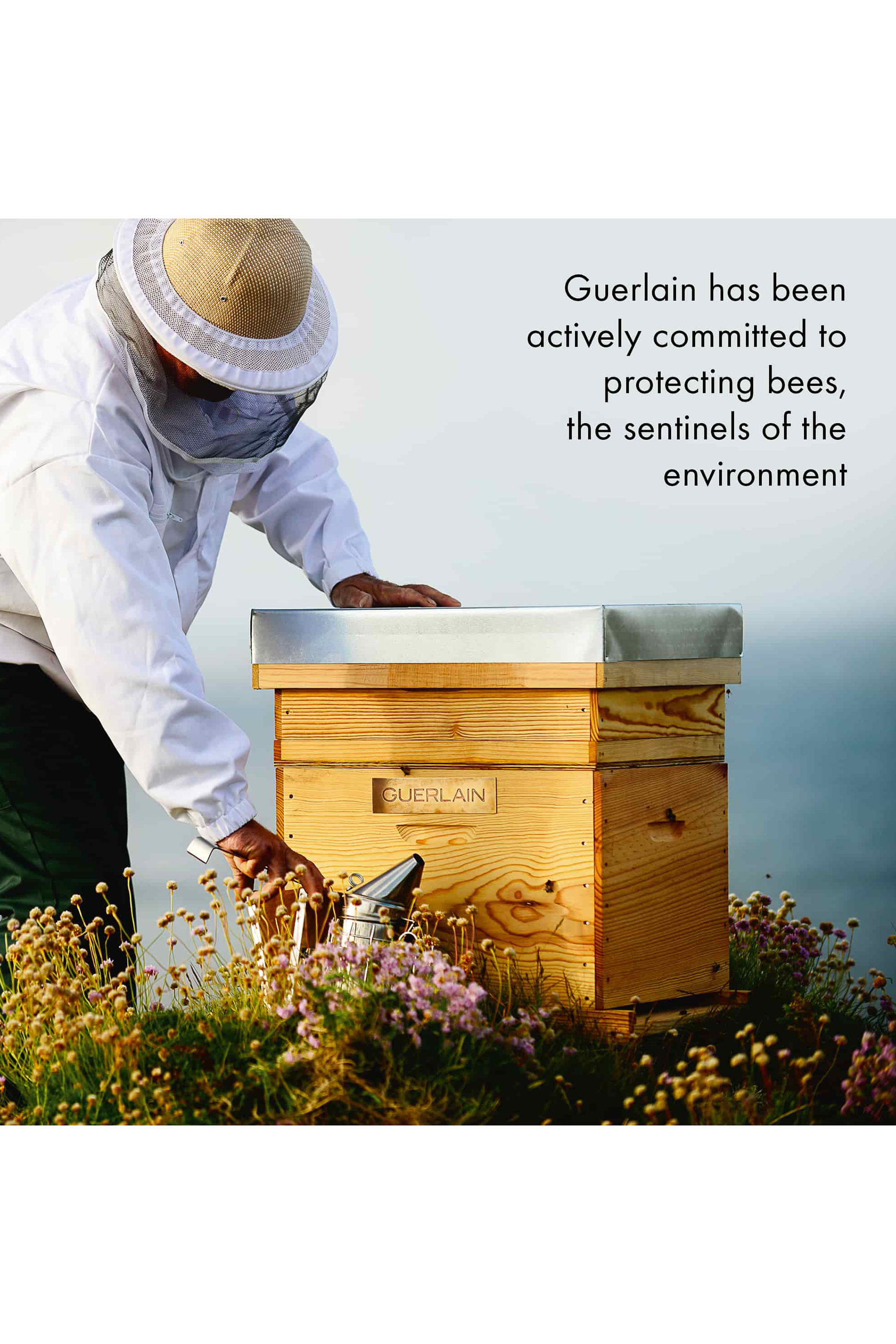 كريم نهاري علاجي أباي رويال بالعسل