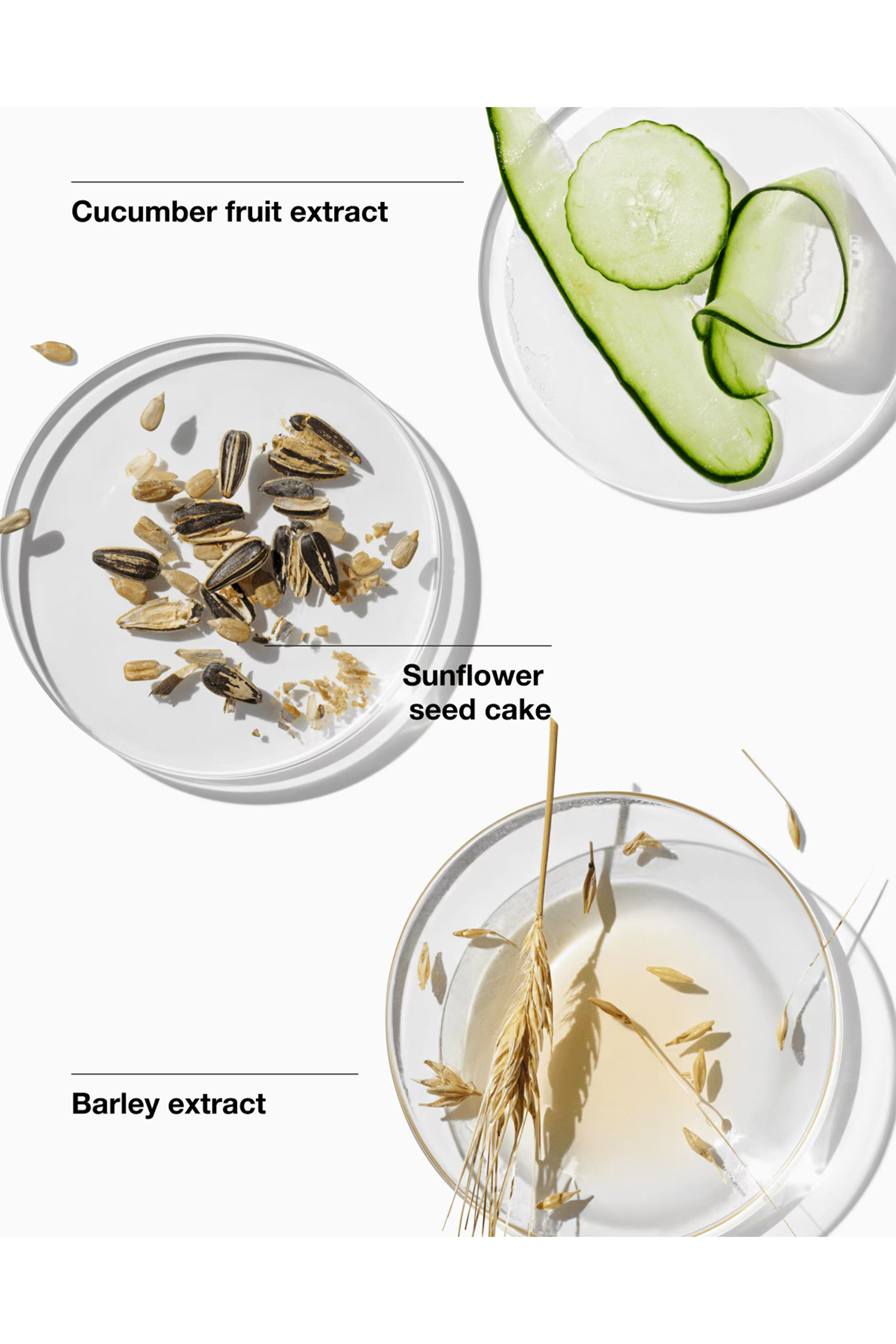 جل مرطب دراماتيكلي ديفرنت+ بمضخة